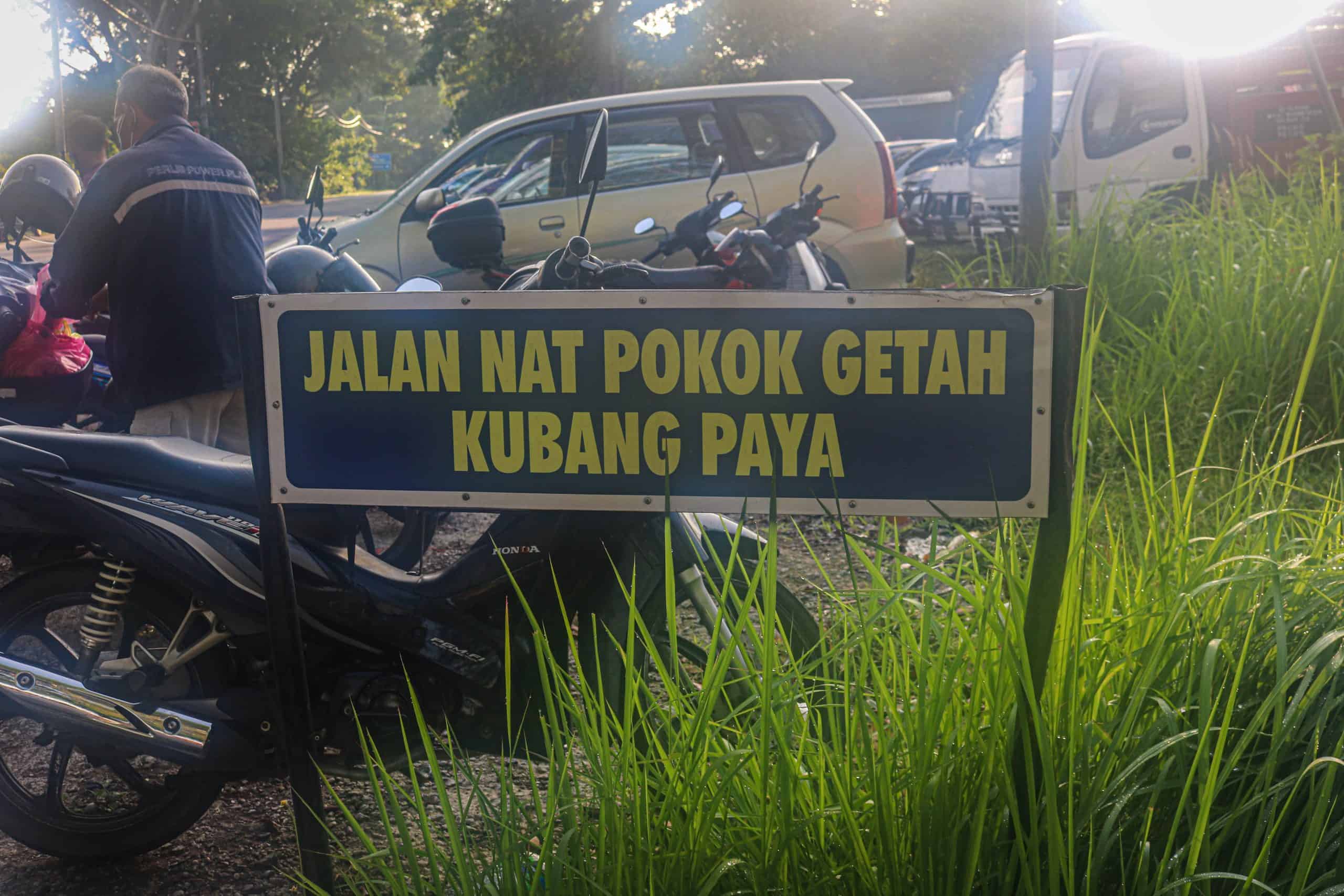 Nat Pokok Getah, King of Perlis Flea Markets