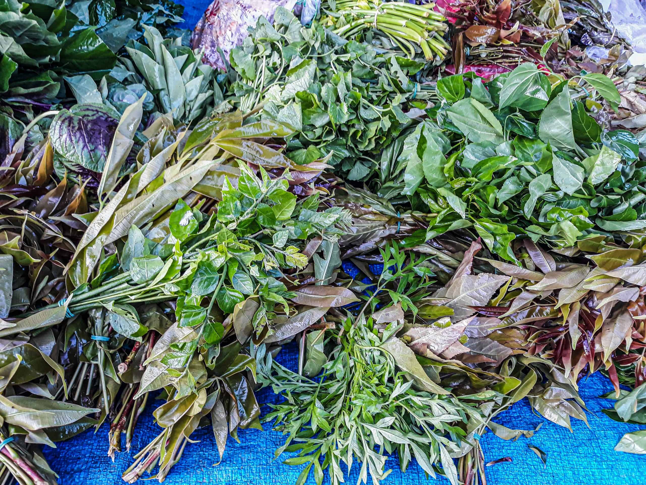 Nat Pokok Getah, King of Perlis Flea Markets