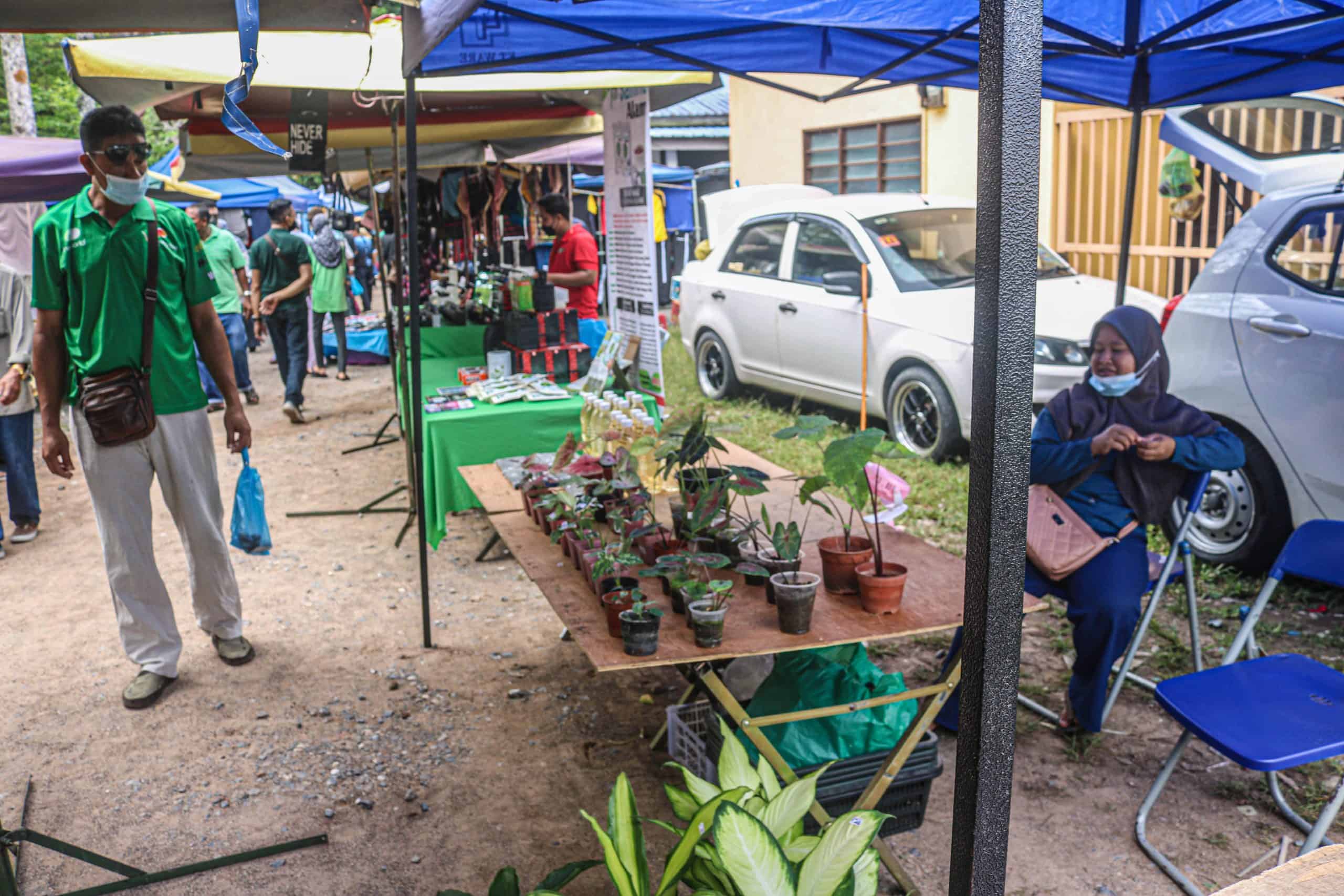 Nat Pokok Getah, King of Perlis Flea Markets