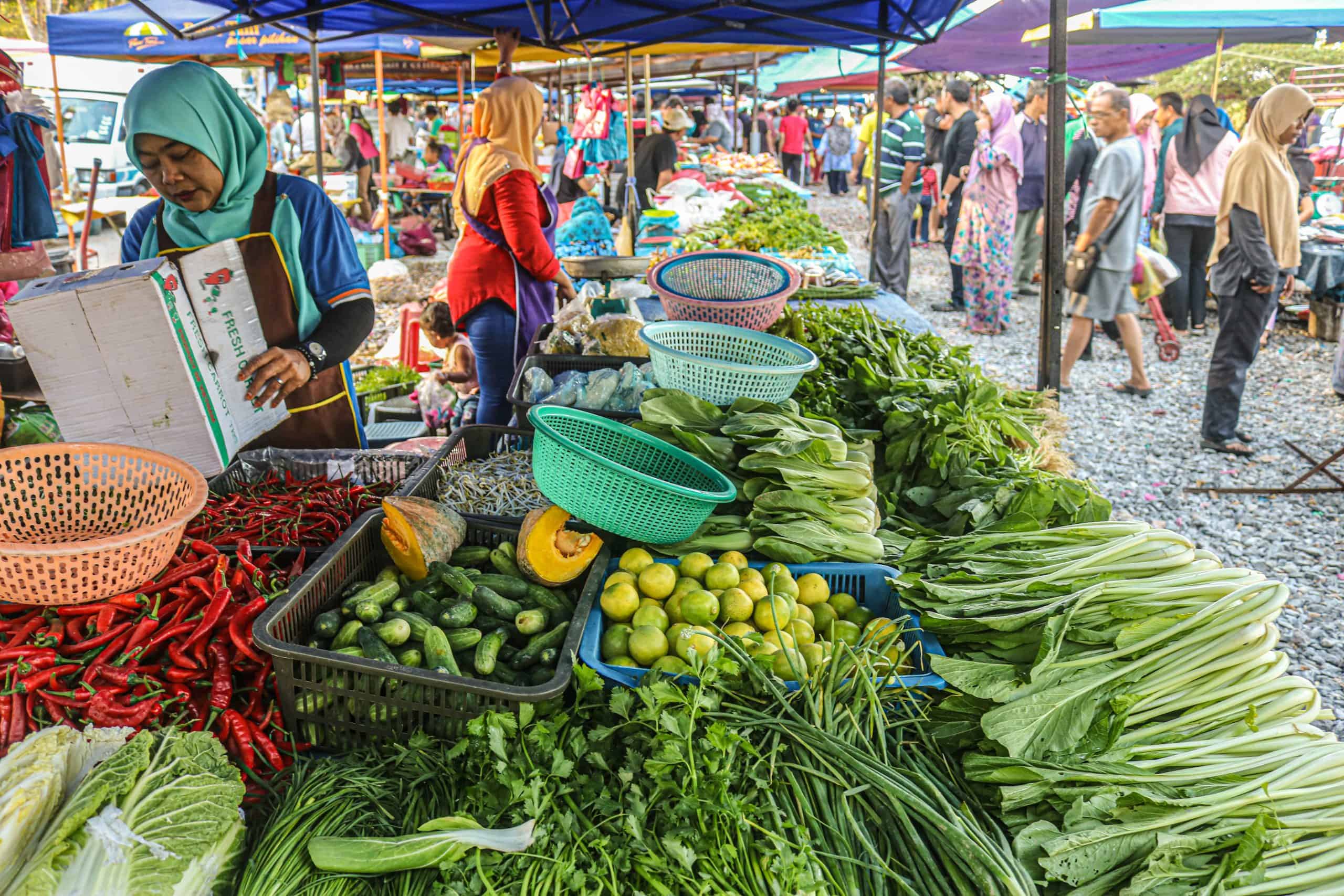 Nat Pokok Getah, King of Perlis Flea Markets