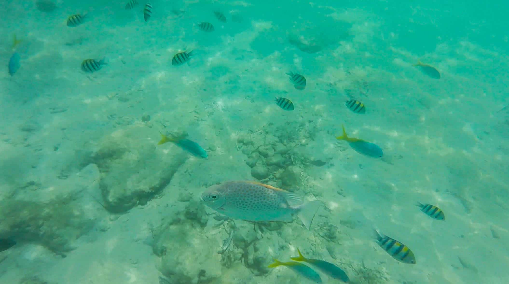 Easy Perhentian Island Day Trip