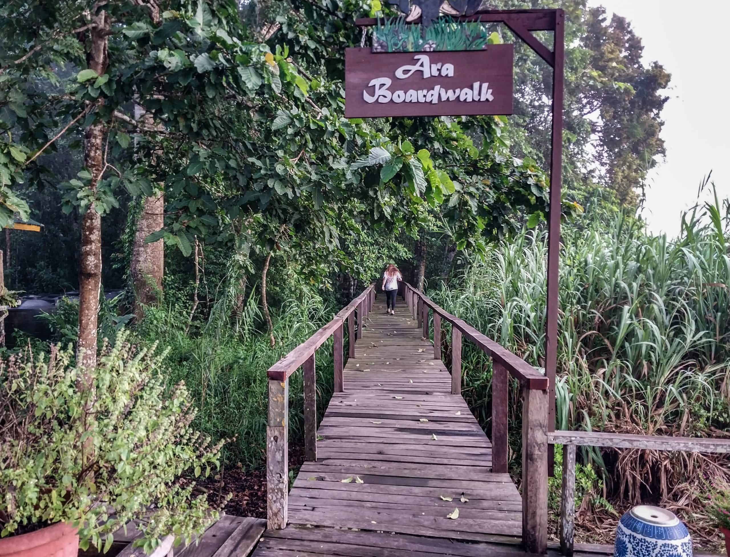 Unique Things to Do in Kinabatangan