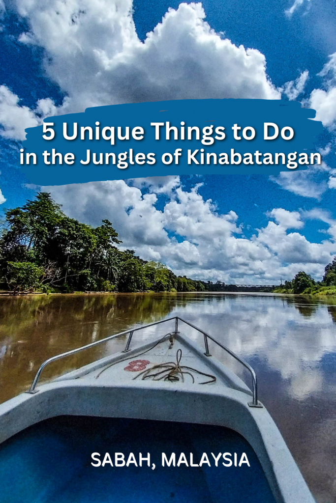 Unique Things to Do in the Jungles of Kinabatangan, Sabah