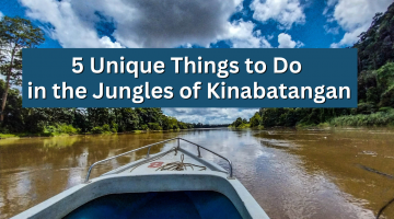5 Unique Things to Do in the Jungles of Kinabatangan, Sabah