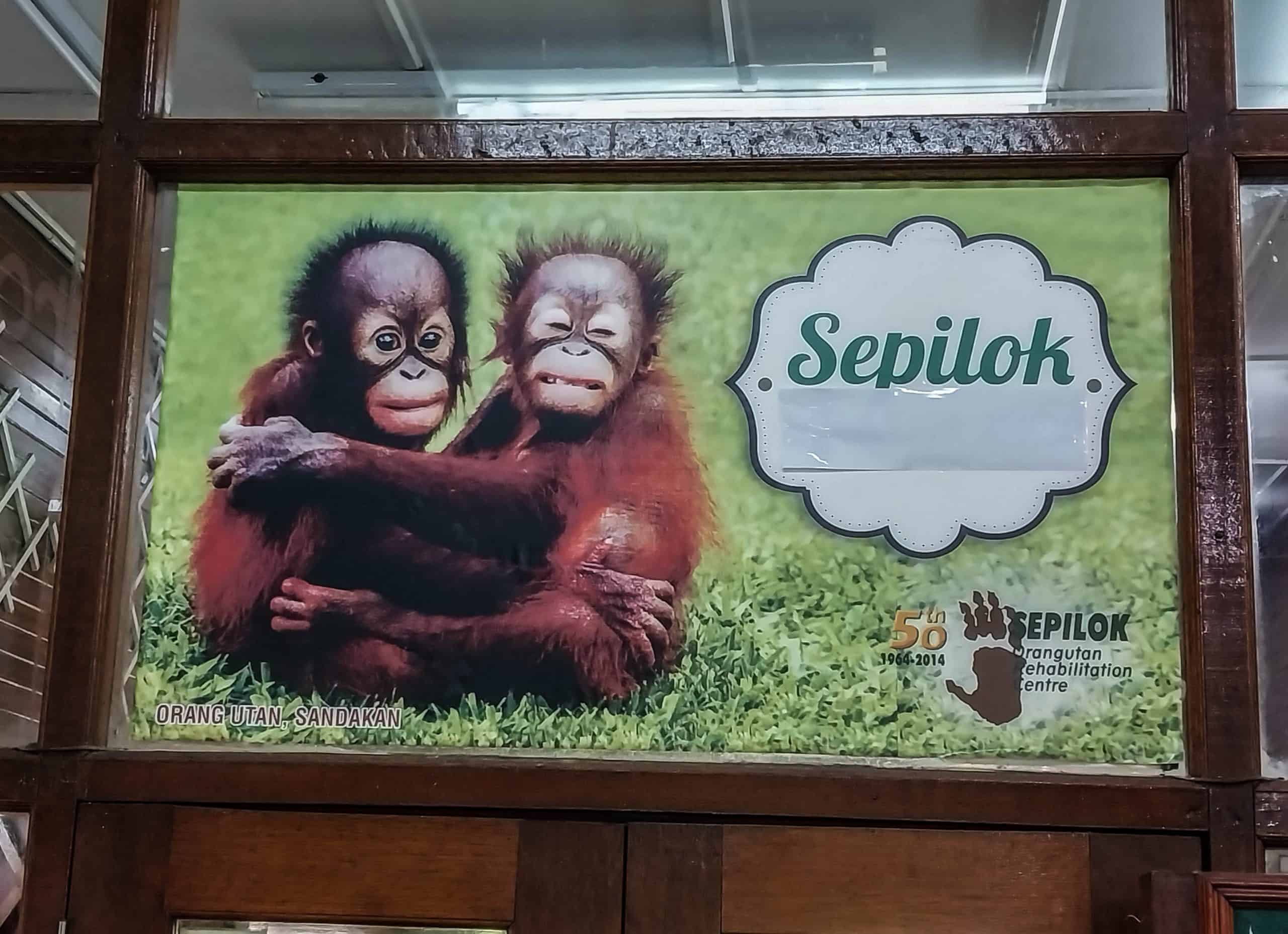 Budget Friendly Things to Do in Sandakan