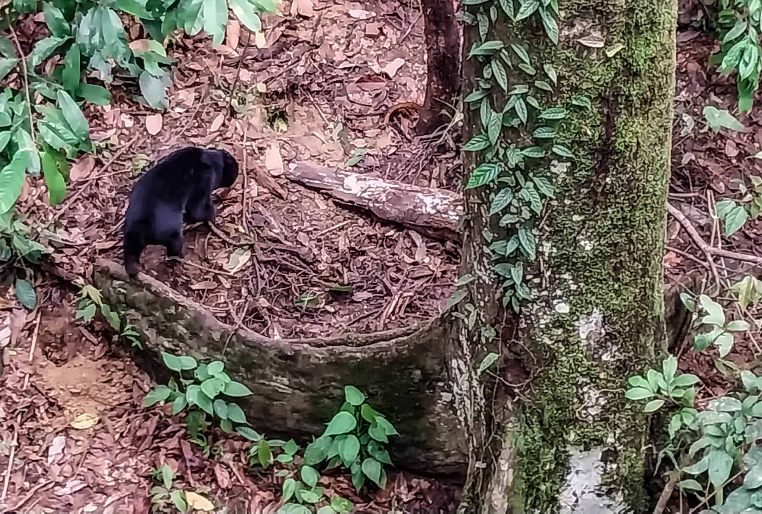 Budget Friendly Things to Do in Sandakan