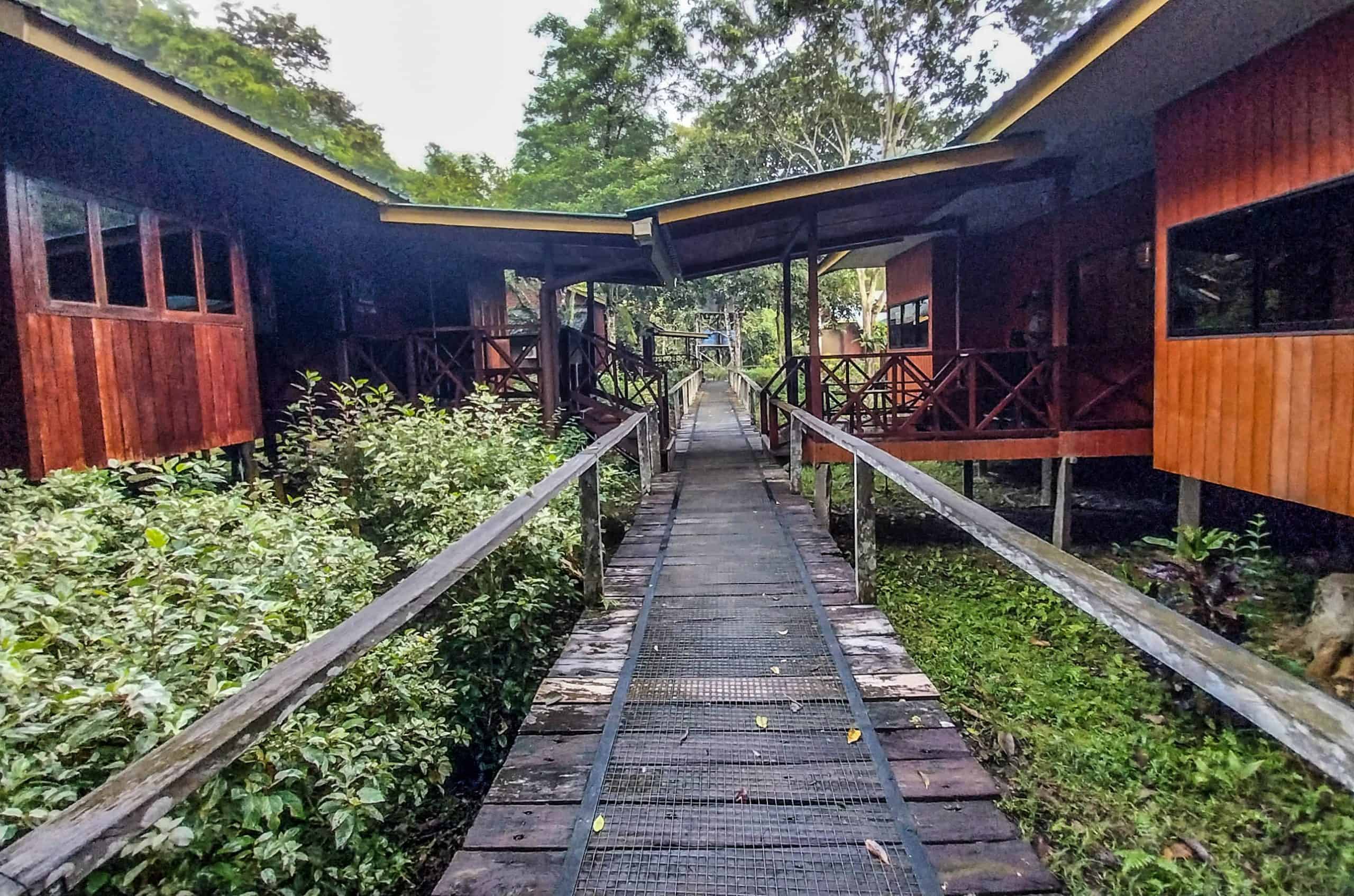 Unique Things to Do in Kinabatangan