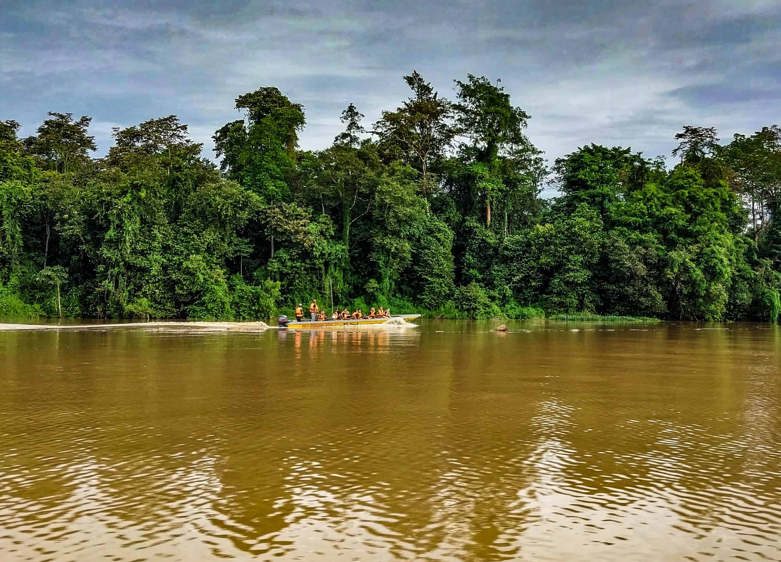 Choosing Tours in Sabah; 13 Must Sees in Sandakan & Kinabatangan