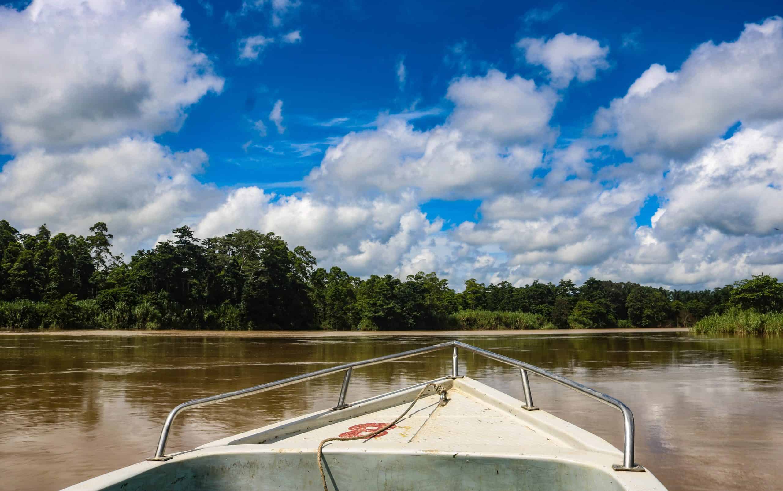 Unique Things to Do in Kinabatangan