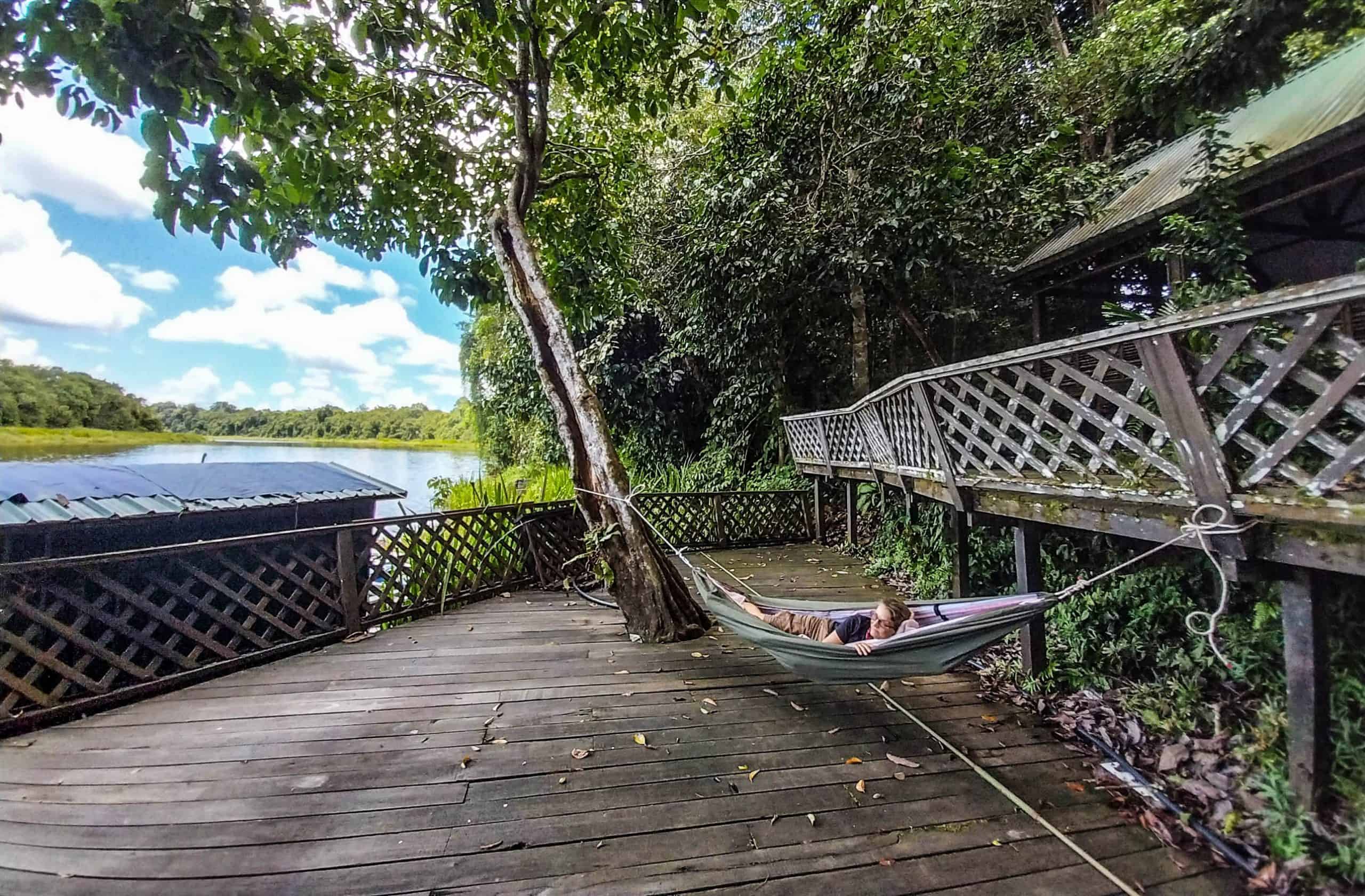 Unique Things to Do in Kinabatangan