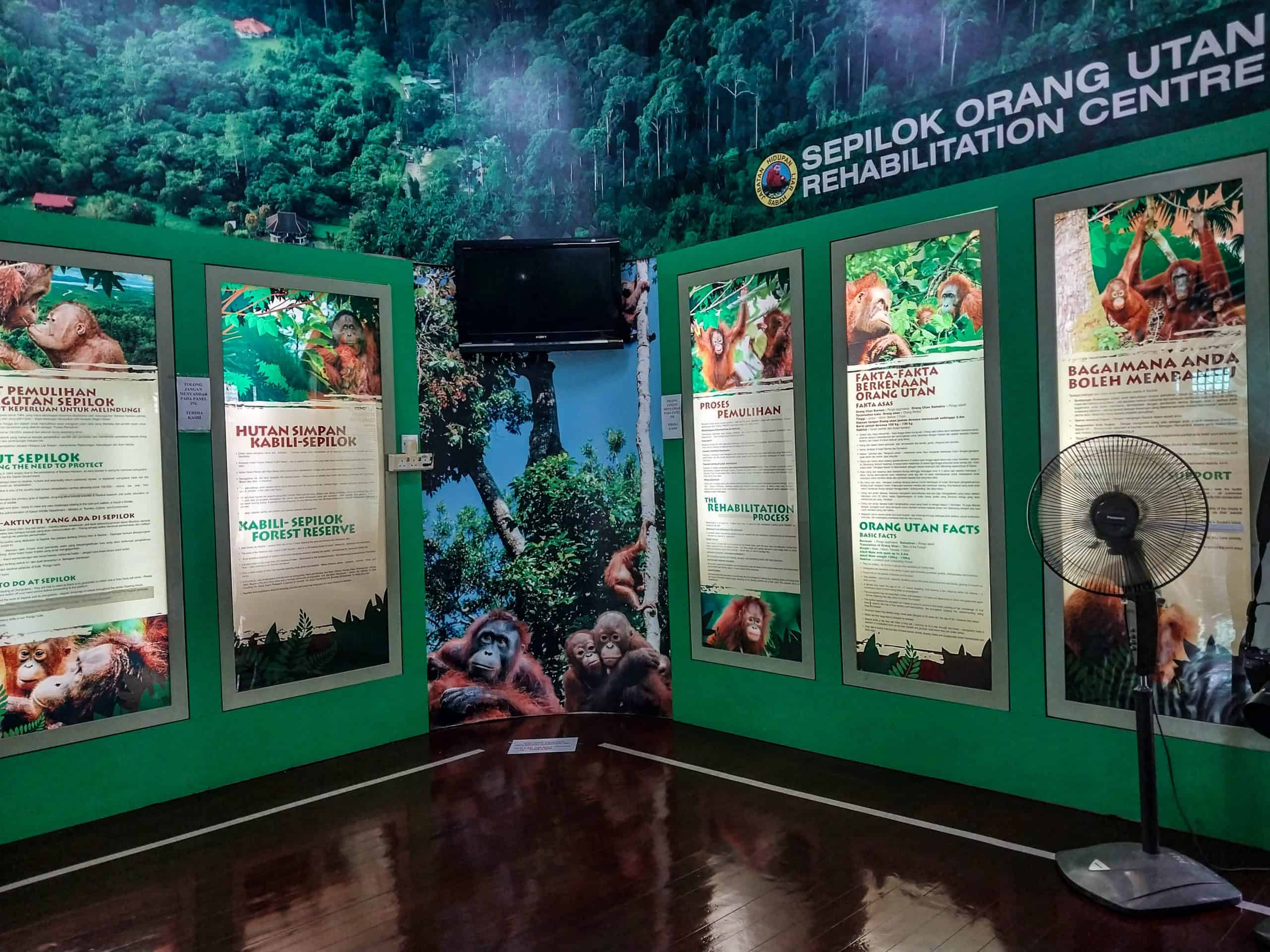 Budget Friendly Things to Do in Sandakan