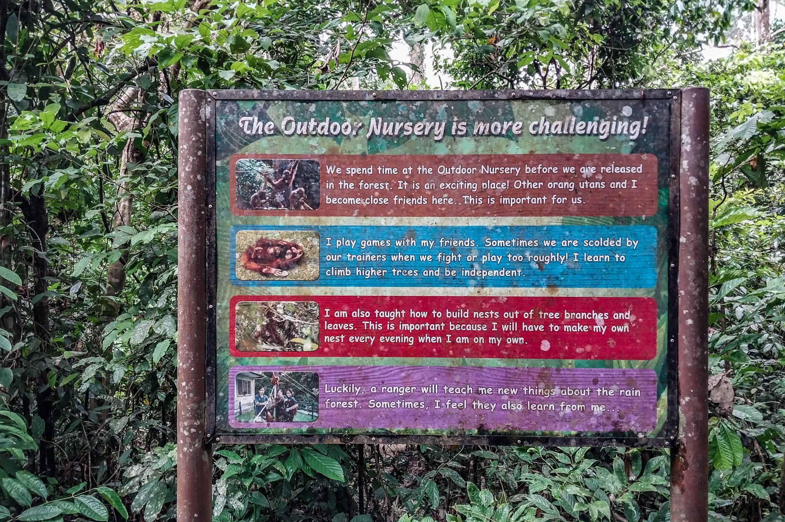 Sepilok Orang Utan Rehabilitation Centre