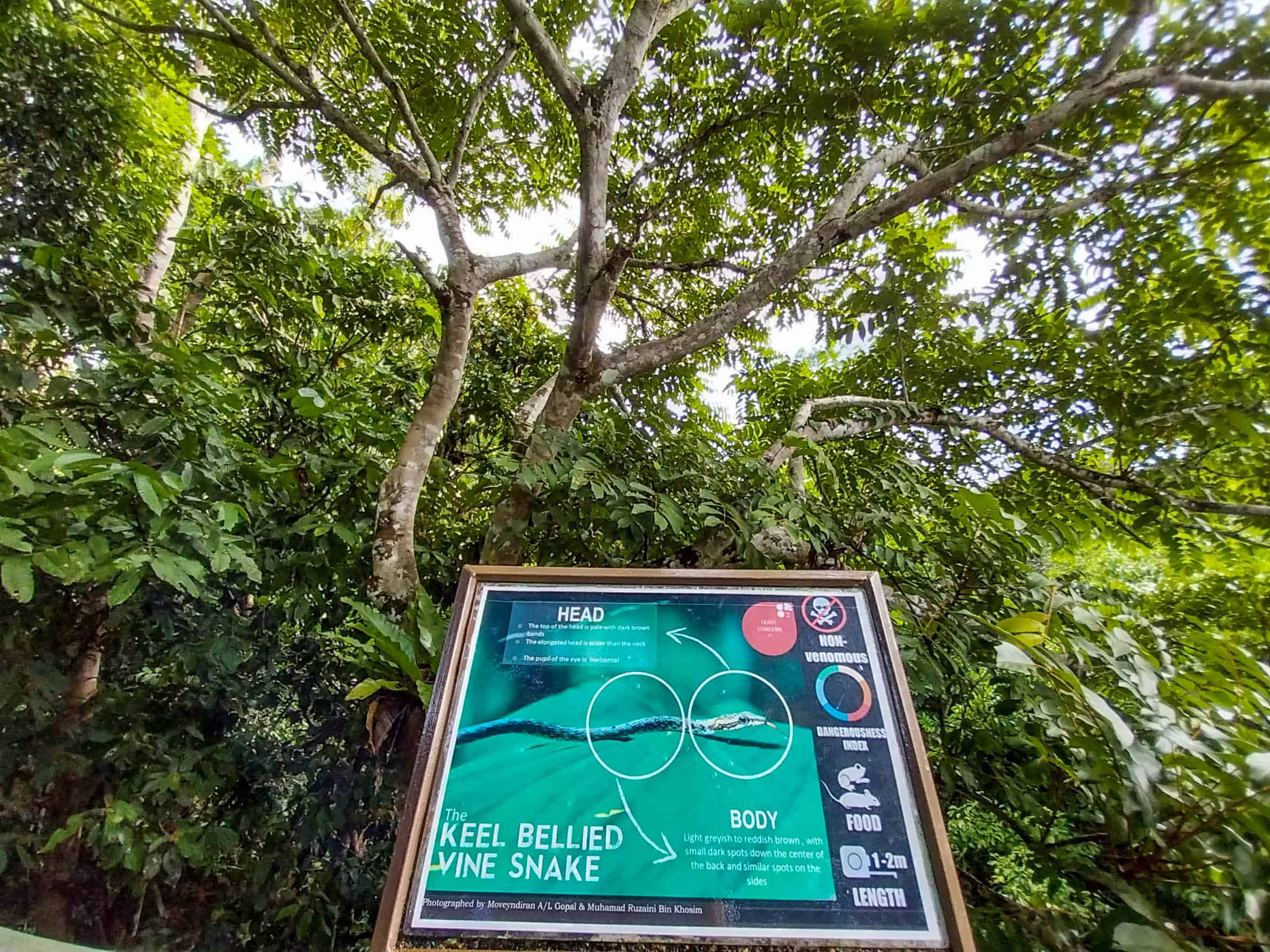 Choosing Tours in Sabah; 13 Must Sees in Sandakan & Kinabatangan