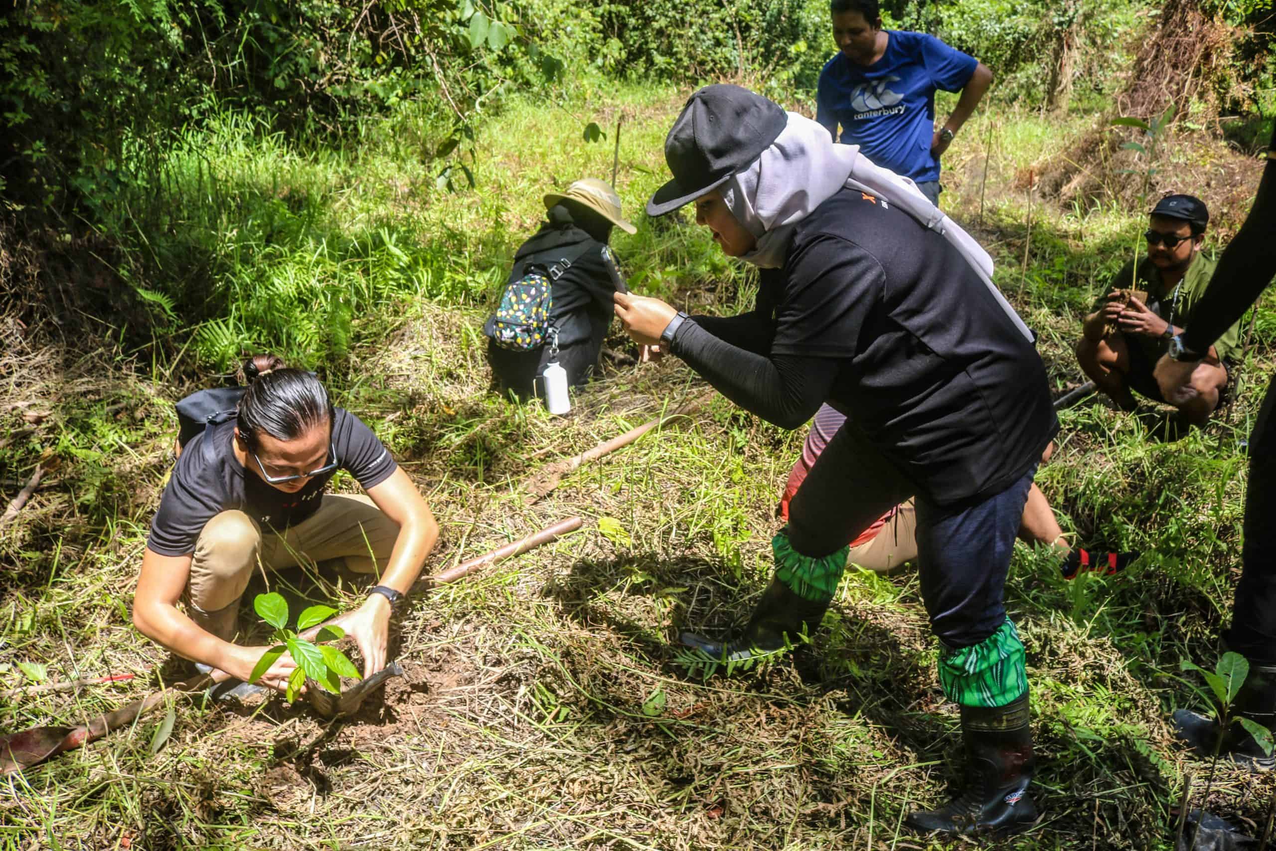 Choosing Tours in Sabah; 13 Must Sees in Sandakan & Kinabatangan