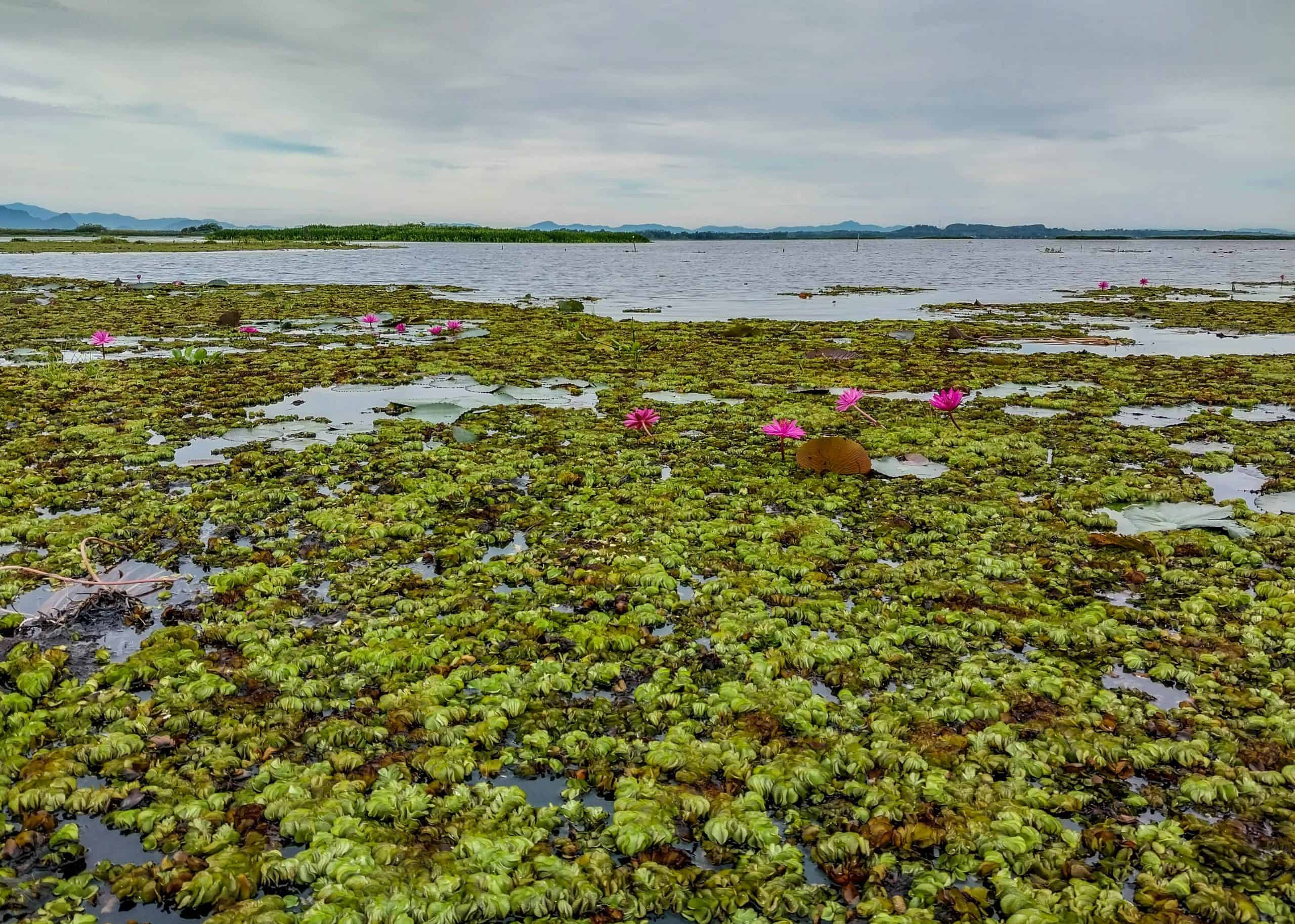 Sri Pakpra Boutique Resort Phatthalung, Thailand