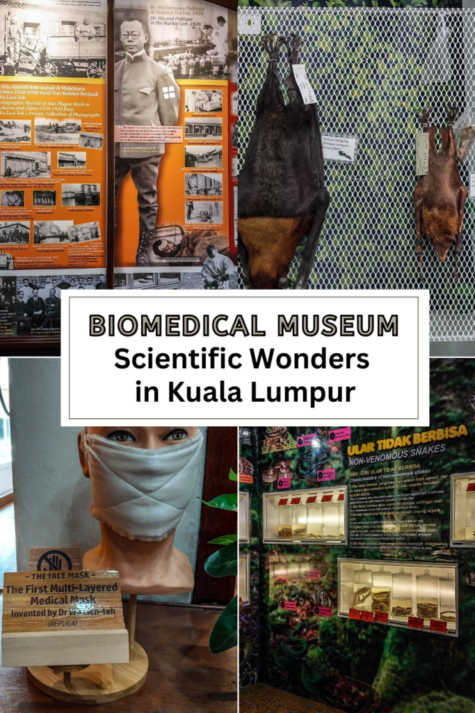 Biomedical Museum, Scientific Wonders in Kuala Lumpur
