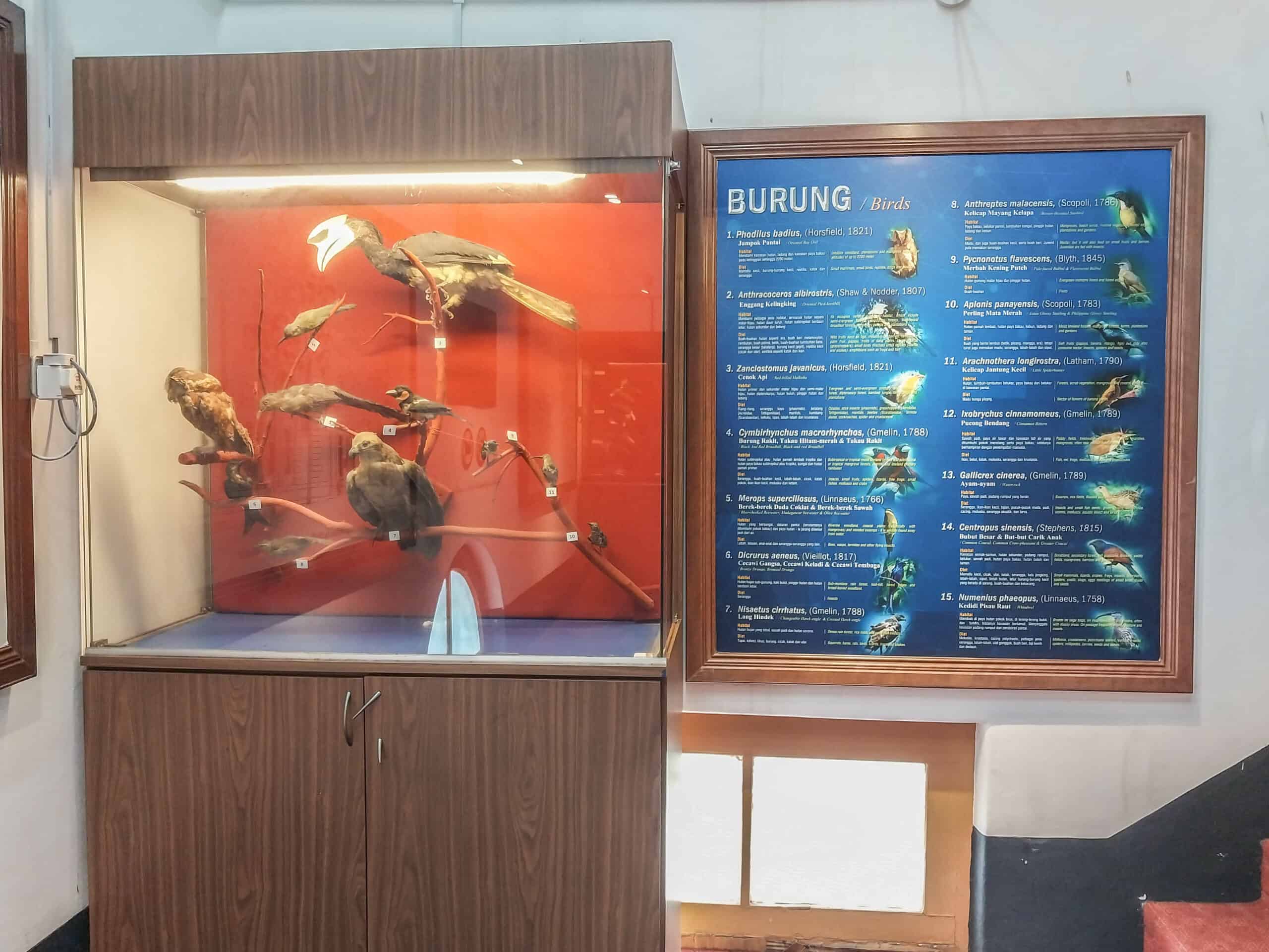 Biomedical Museum, Scientific Wonders in Kuala Lumpur
