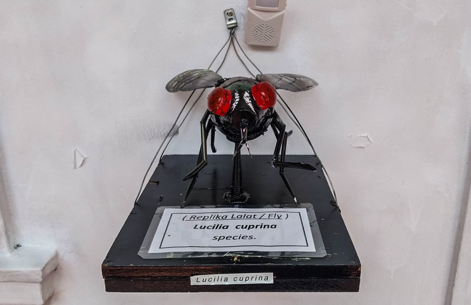 Biomedical Museum, Scientific Wonders in Kuala Lumpur