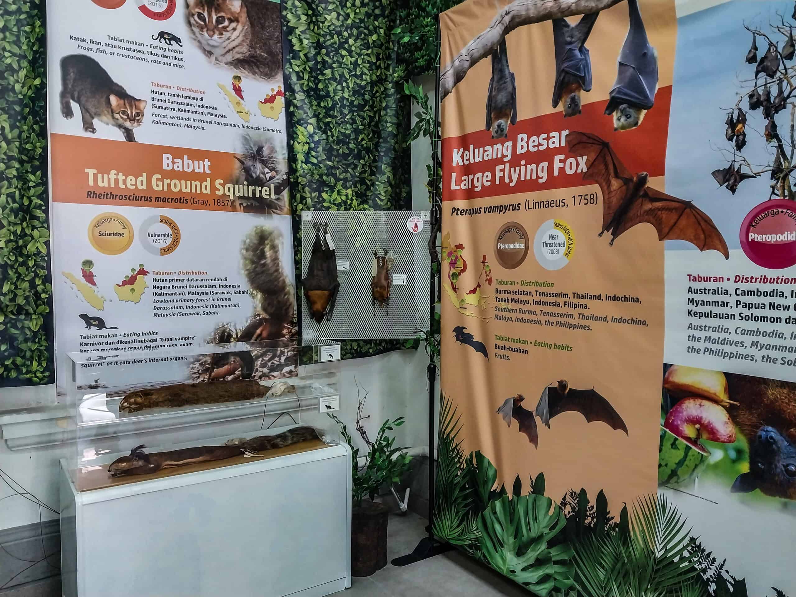 Biomedical Museum, Scientific Wonders in Kuala Lumpur