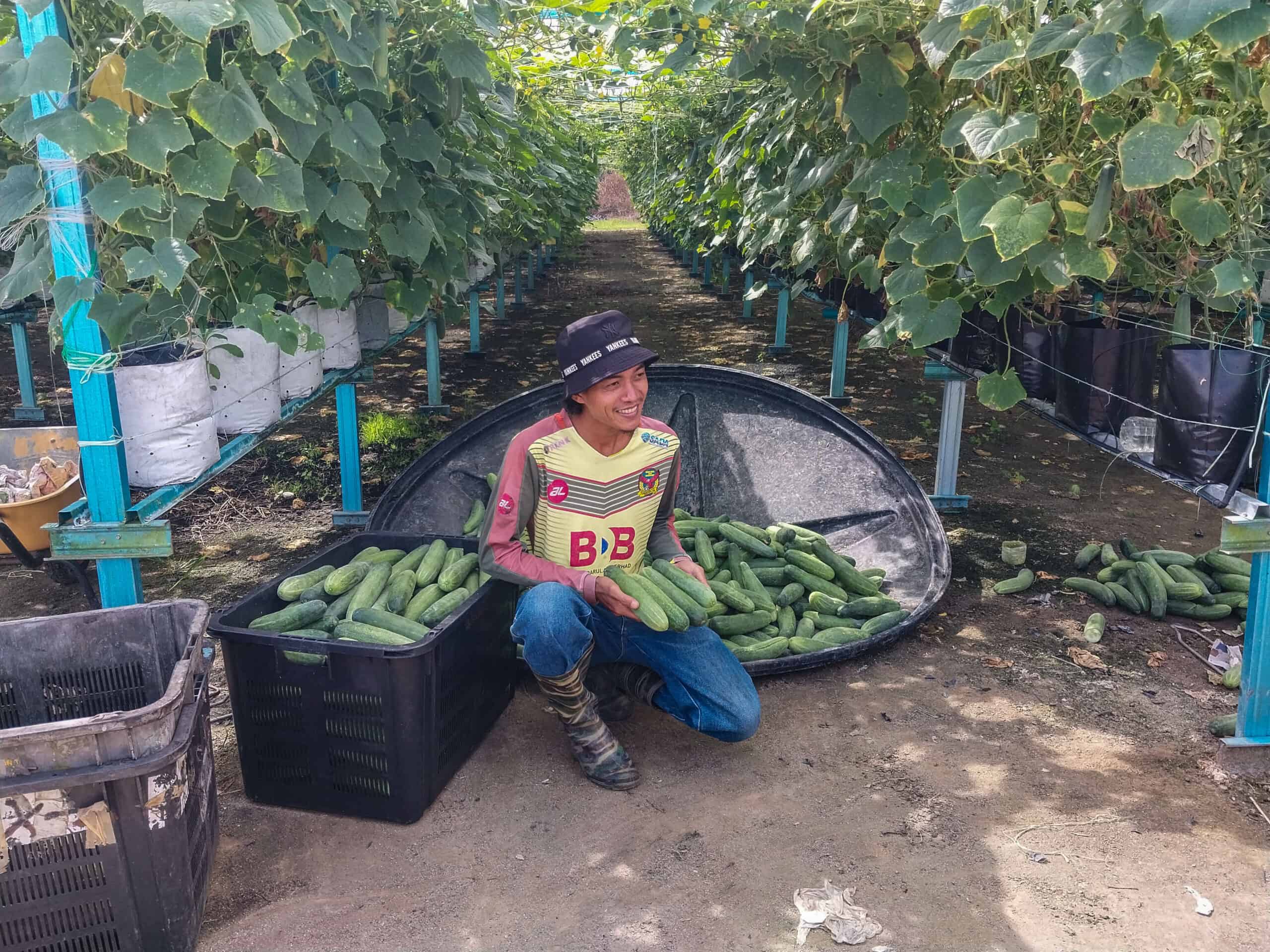 Weng Valley, Recreation Wonderland of Baling, Kedah