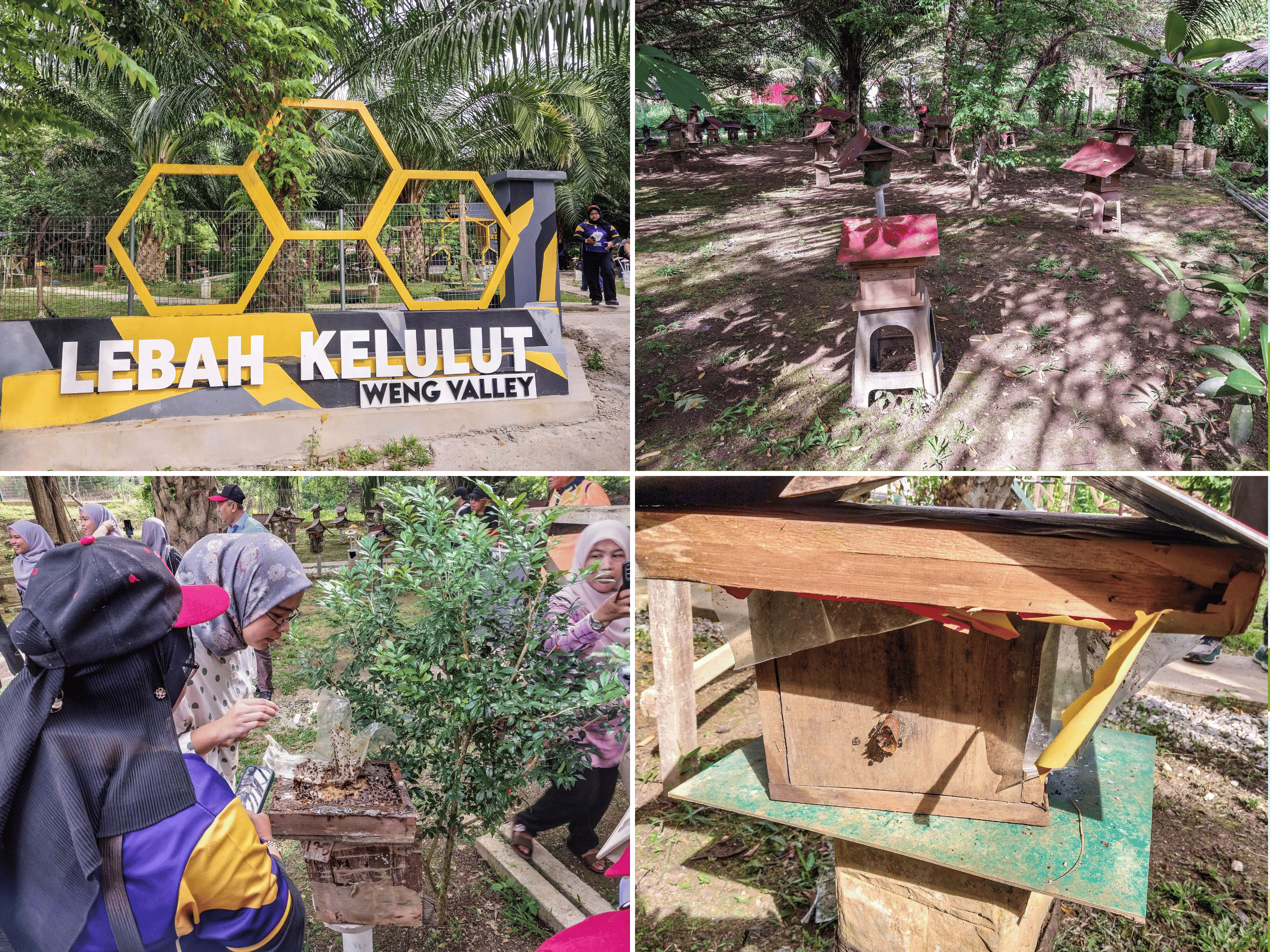 Weng Valley, Recreation Wonderland of Baling, Kedah