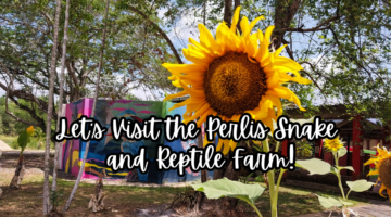 Perlis Snake and Reptile Farm