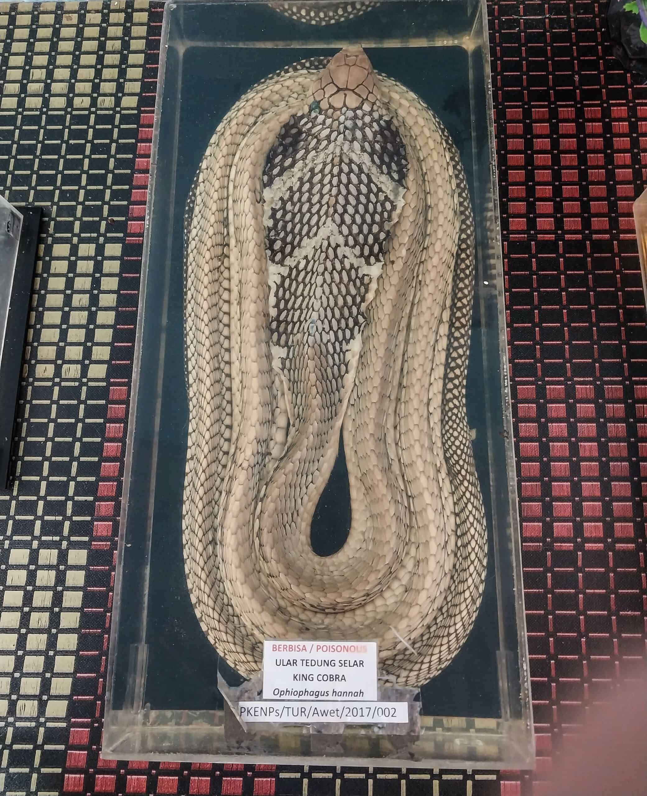 Perlis Snake and Reptile Farm