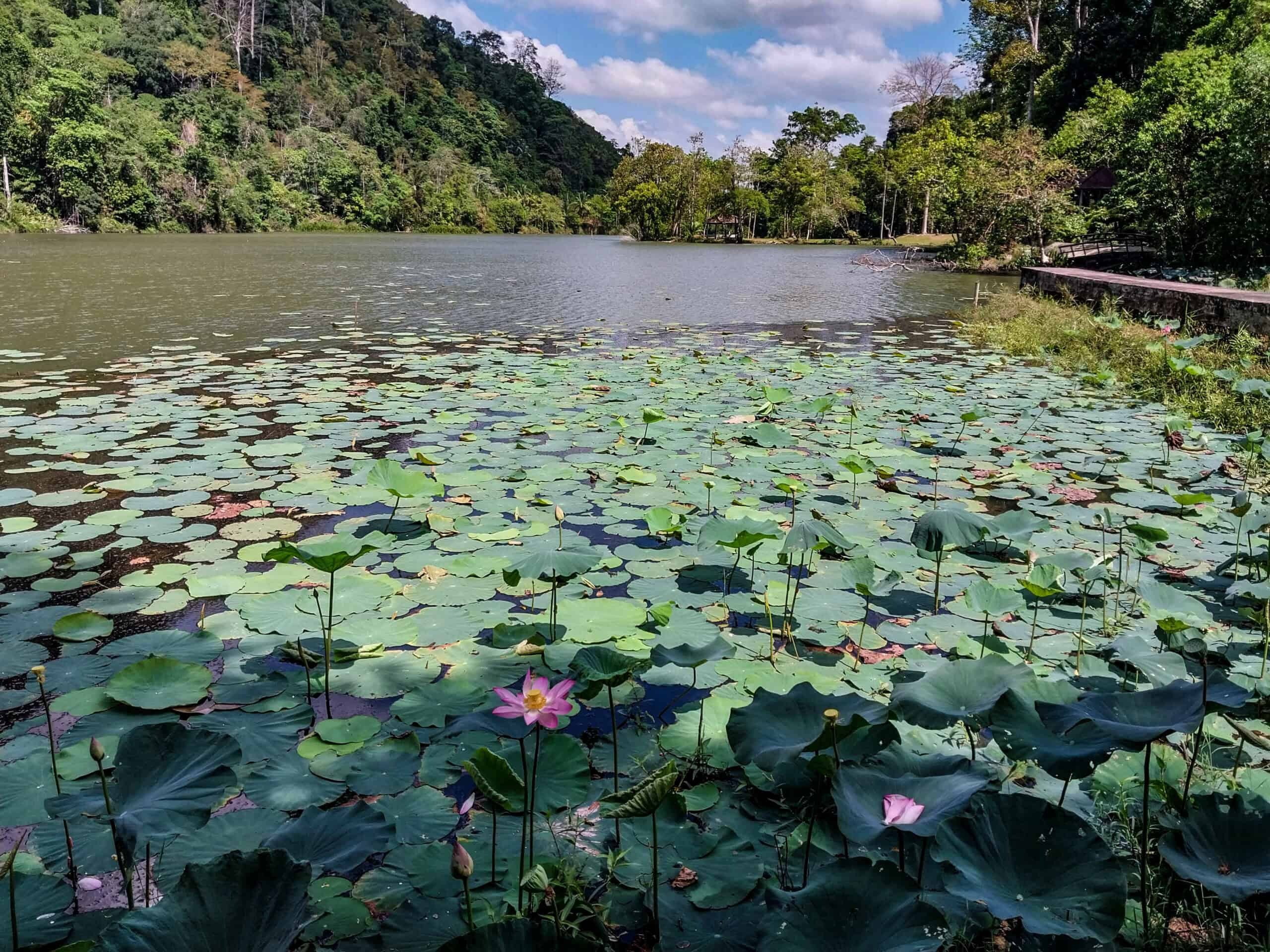 Thale Ban National Park Satun