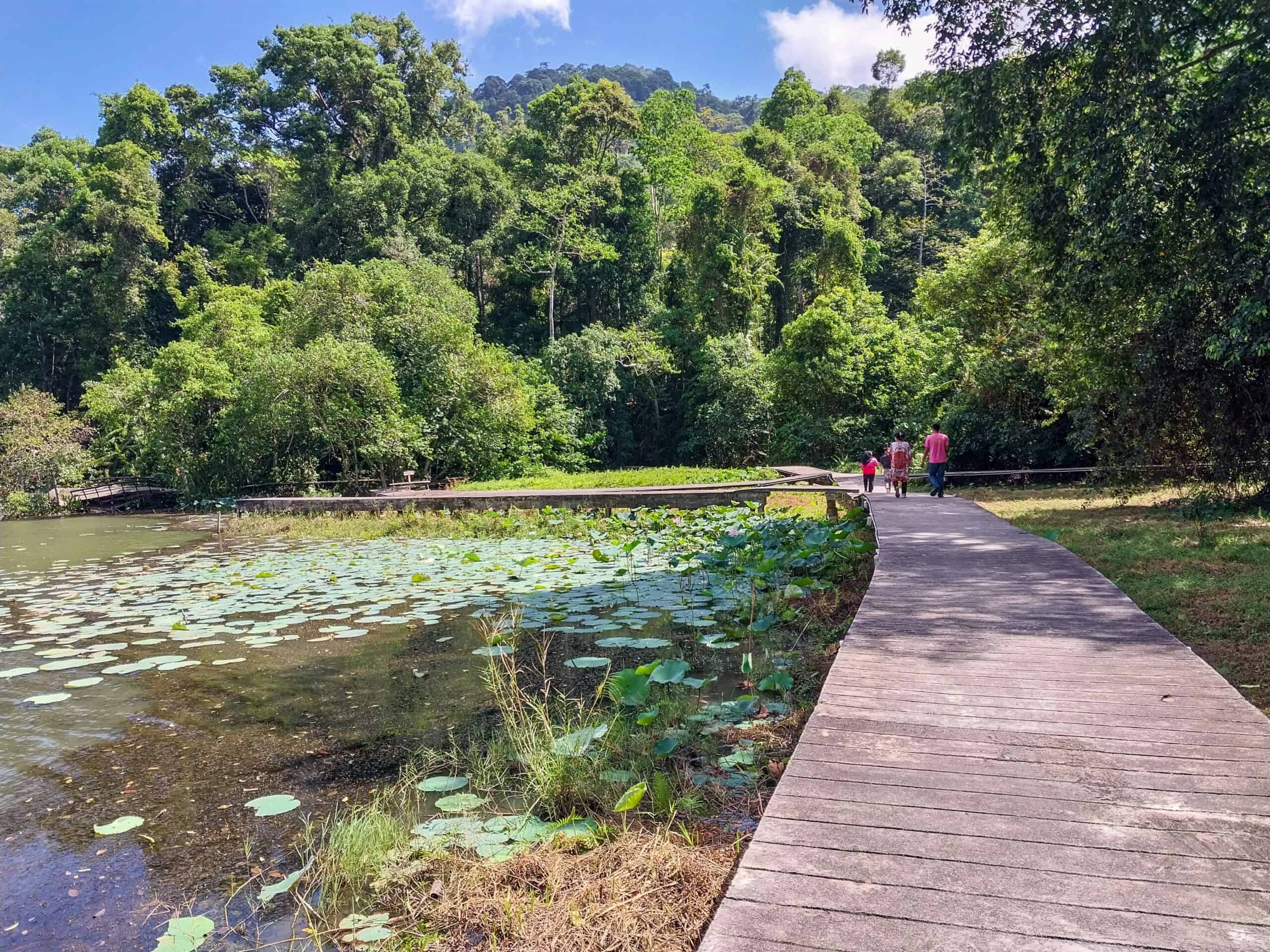 Thale Ban National Park Satun
