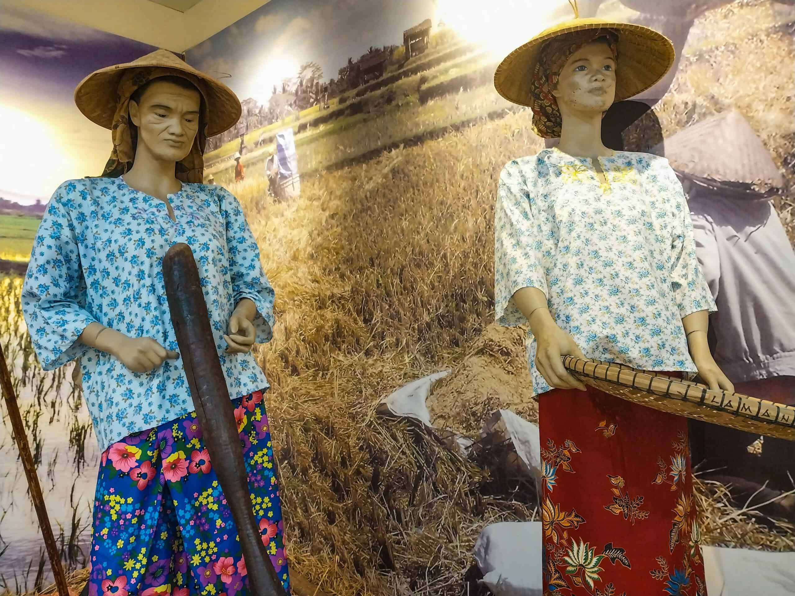 Muzium Laman Padi, Langkawi Rice Museum and Garden