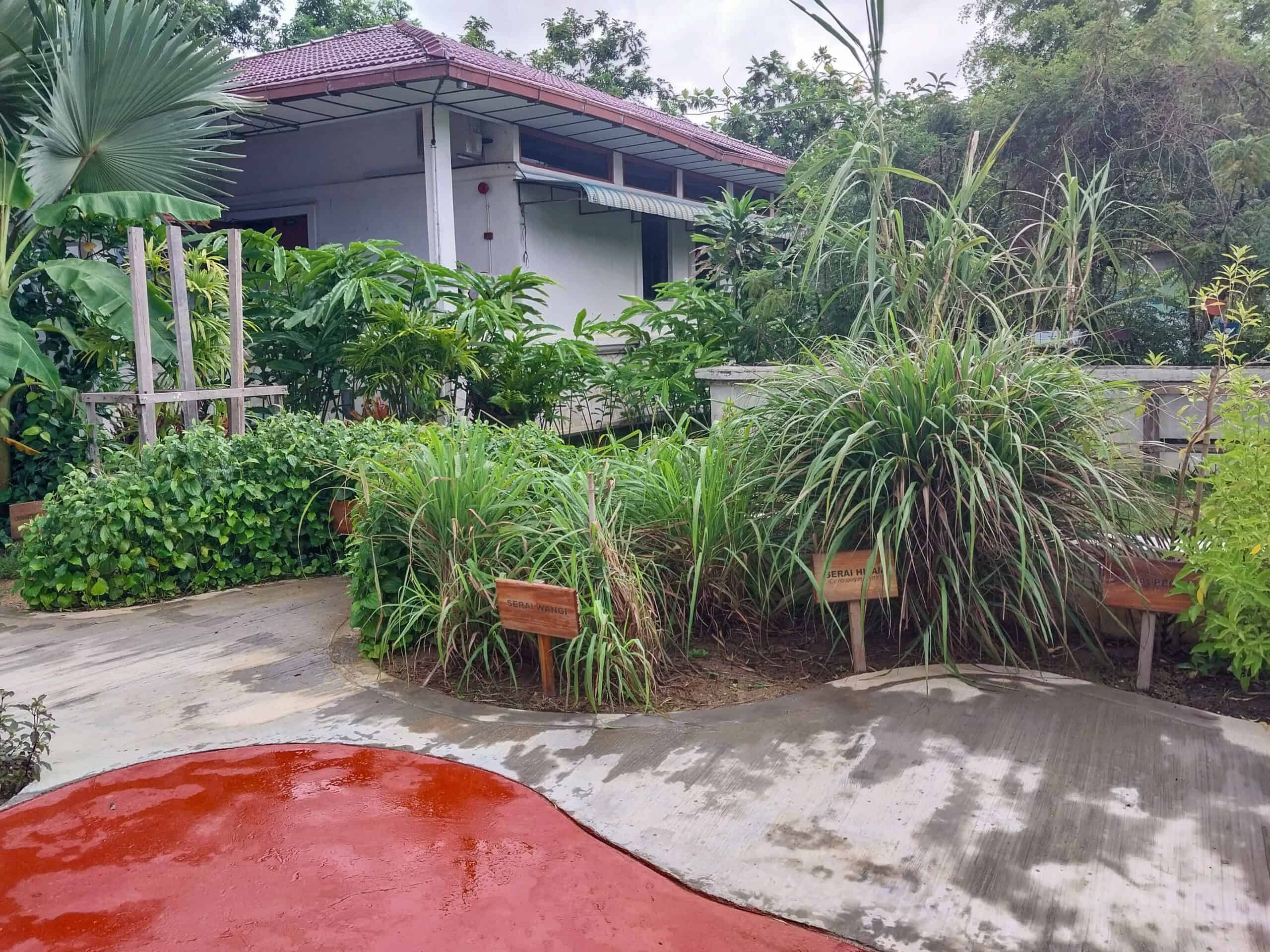 Muzium Laman Padi, Langkawi Rice Museum and Garden