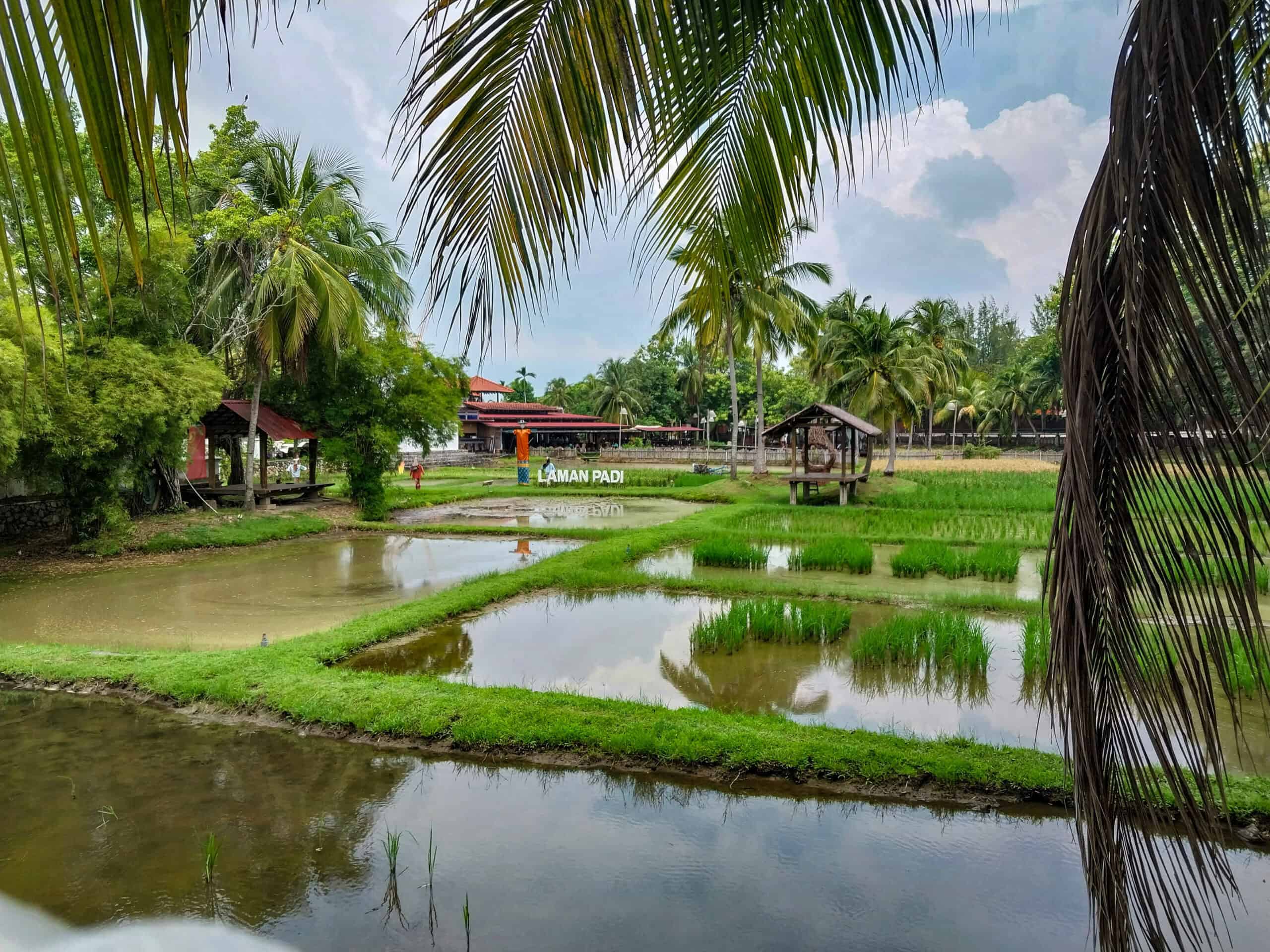 Muzium Laman Padi, Langkawi Rice Museum and Garden