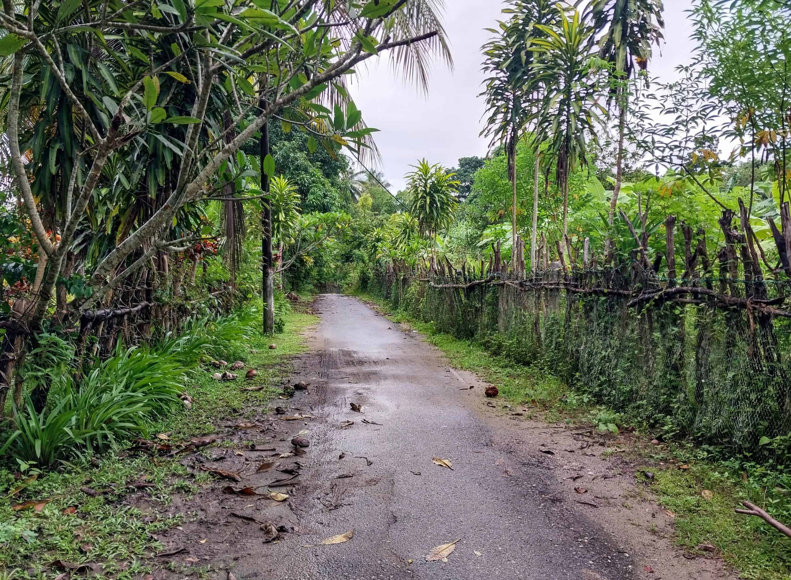 Bestuba Pulau Tuba Island Tours