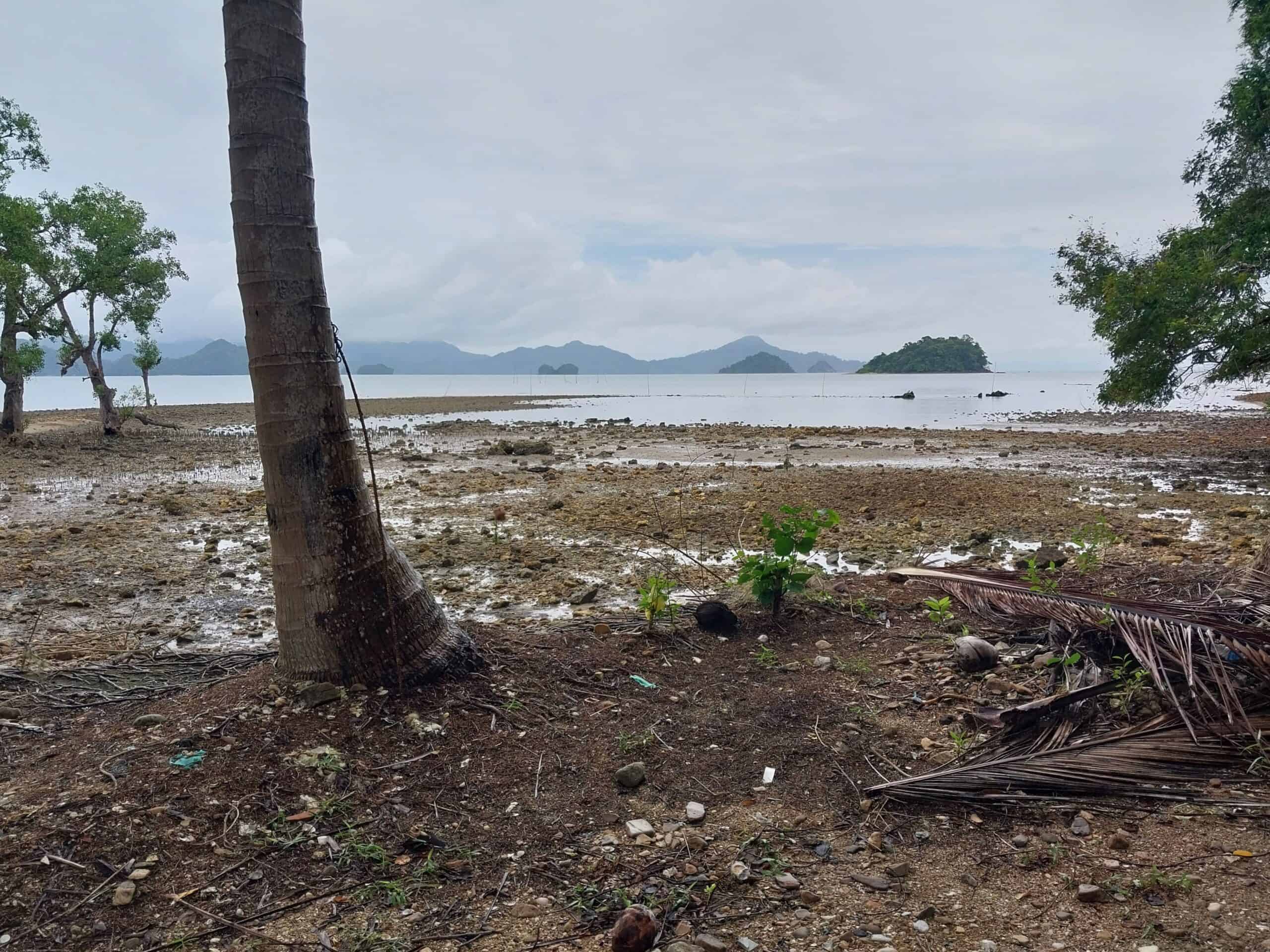 Bestuba Pulau Tuba Island Tours