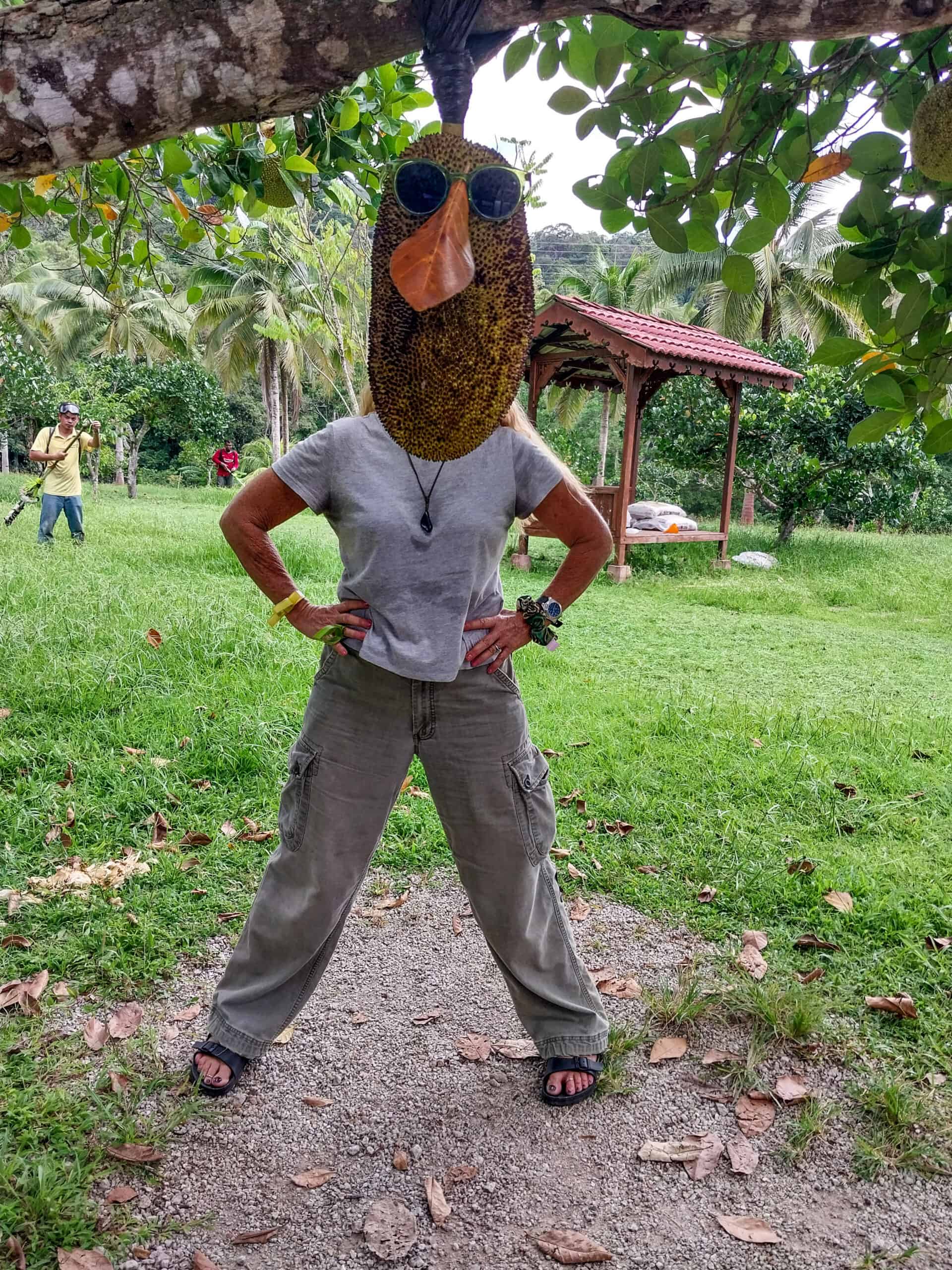 Mardi Agro Park, Langkawi’s Best Fruit Farm