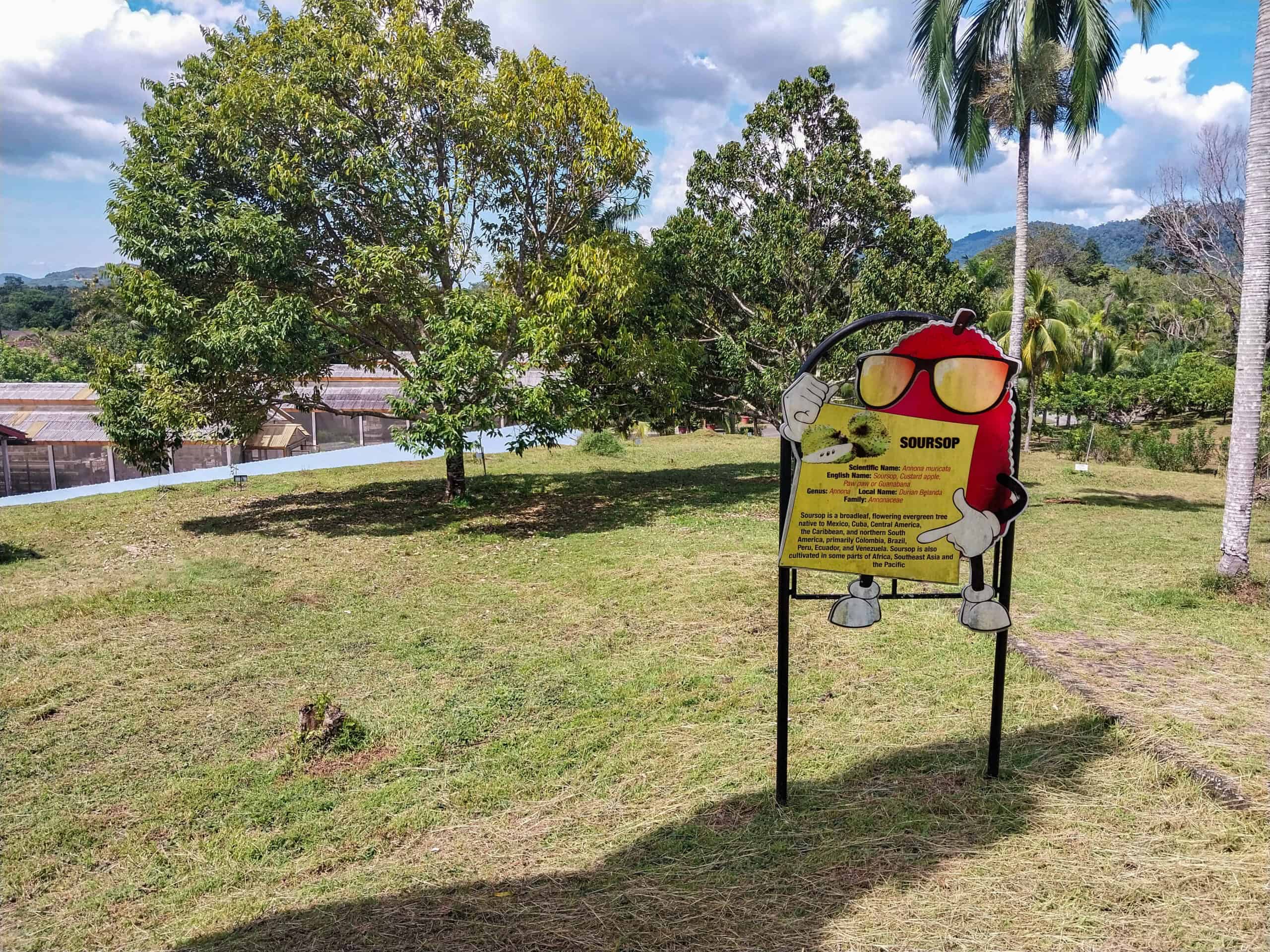 Mardi Agro Park, Langkawi’s Best Fruit Farm