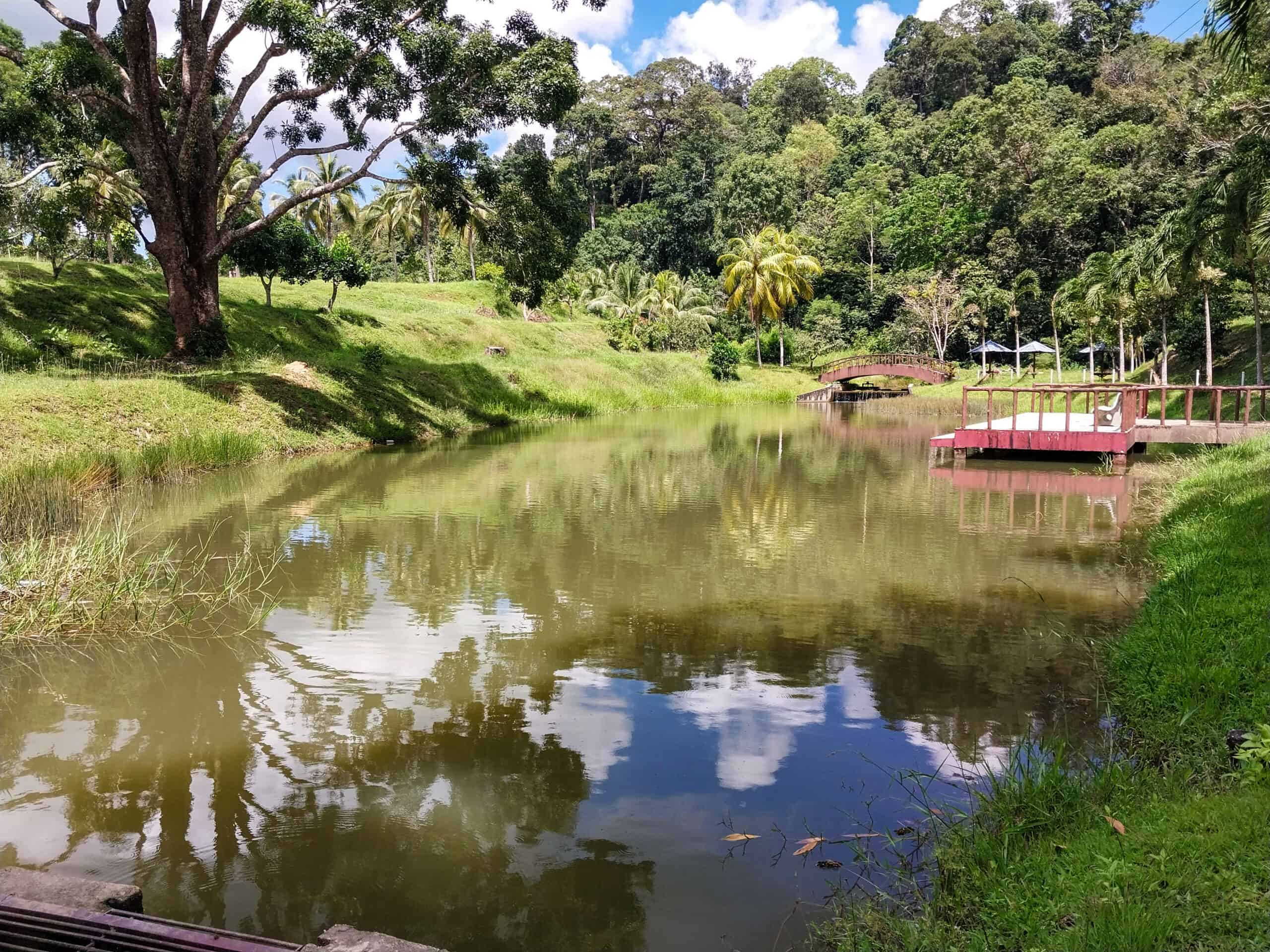 Mardi Agro Park, Langkawi’s Best Fruit Farm