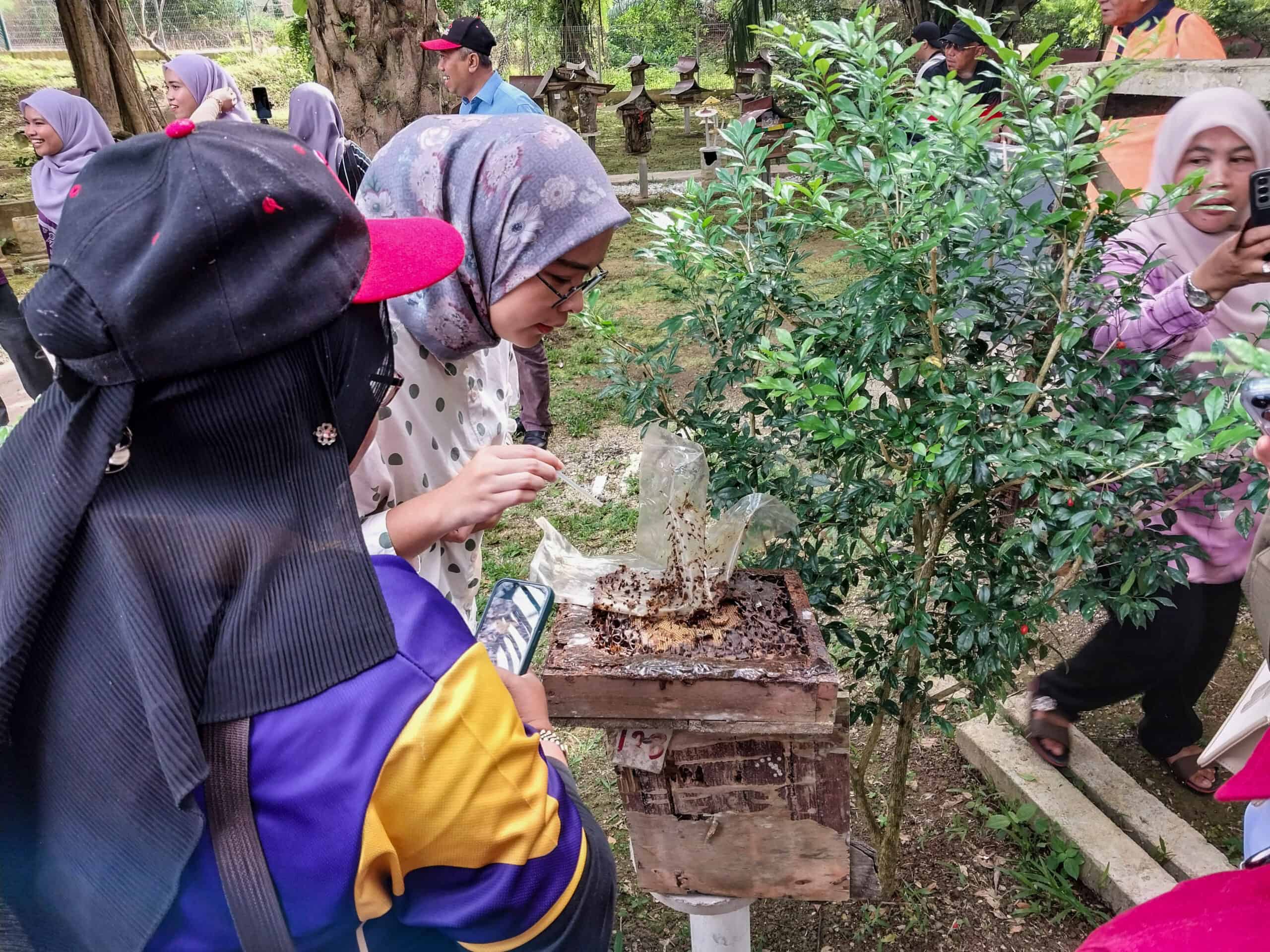 Baling, Kedah: First Time Visitors Mini Guide