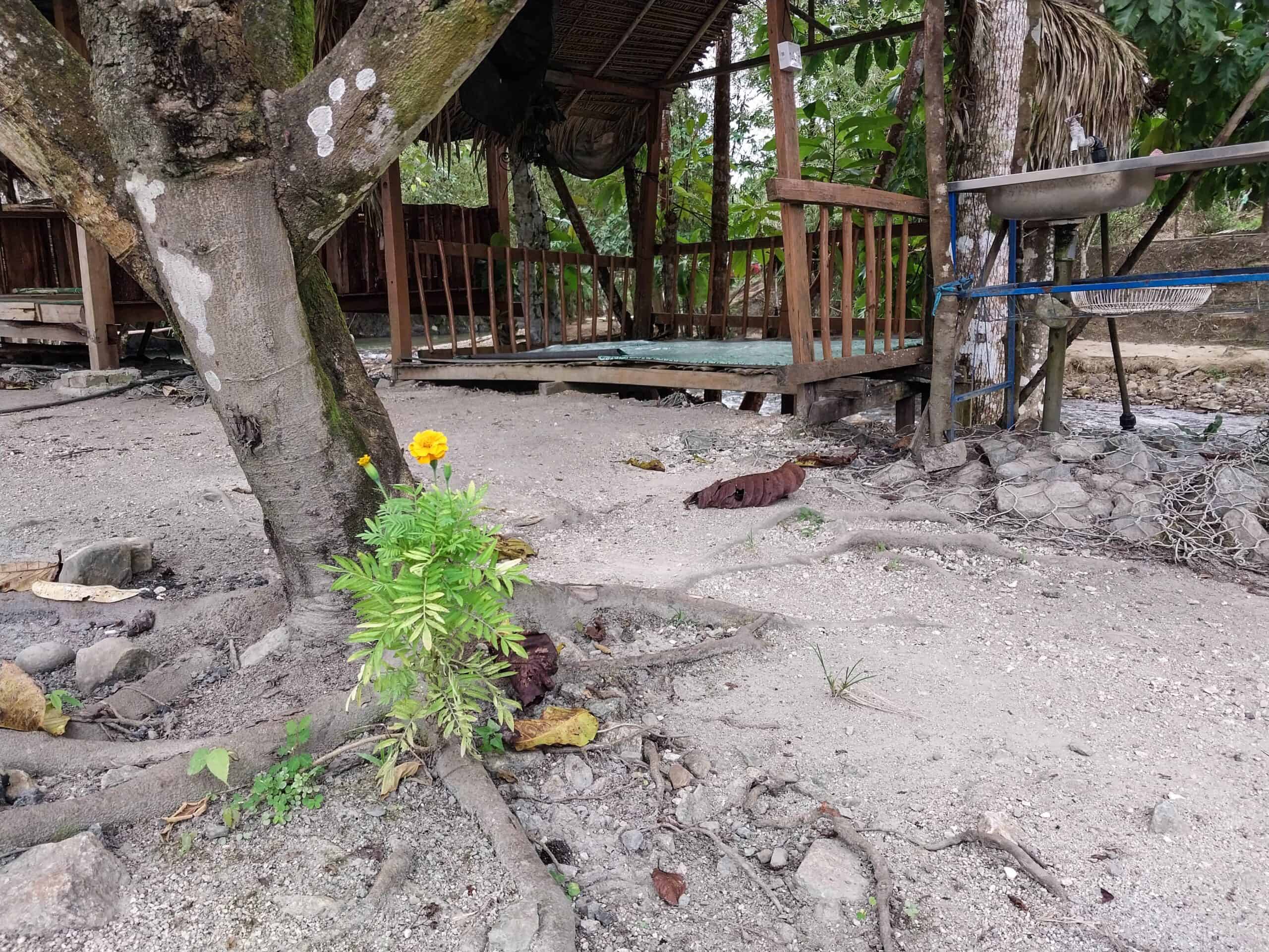 Baling, Kedah: First Time Visitors Mini Guide