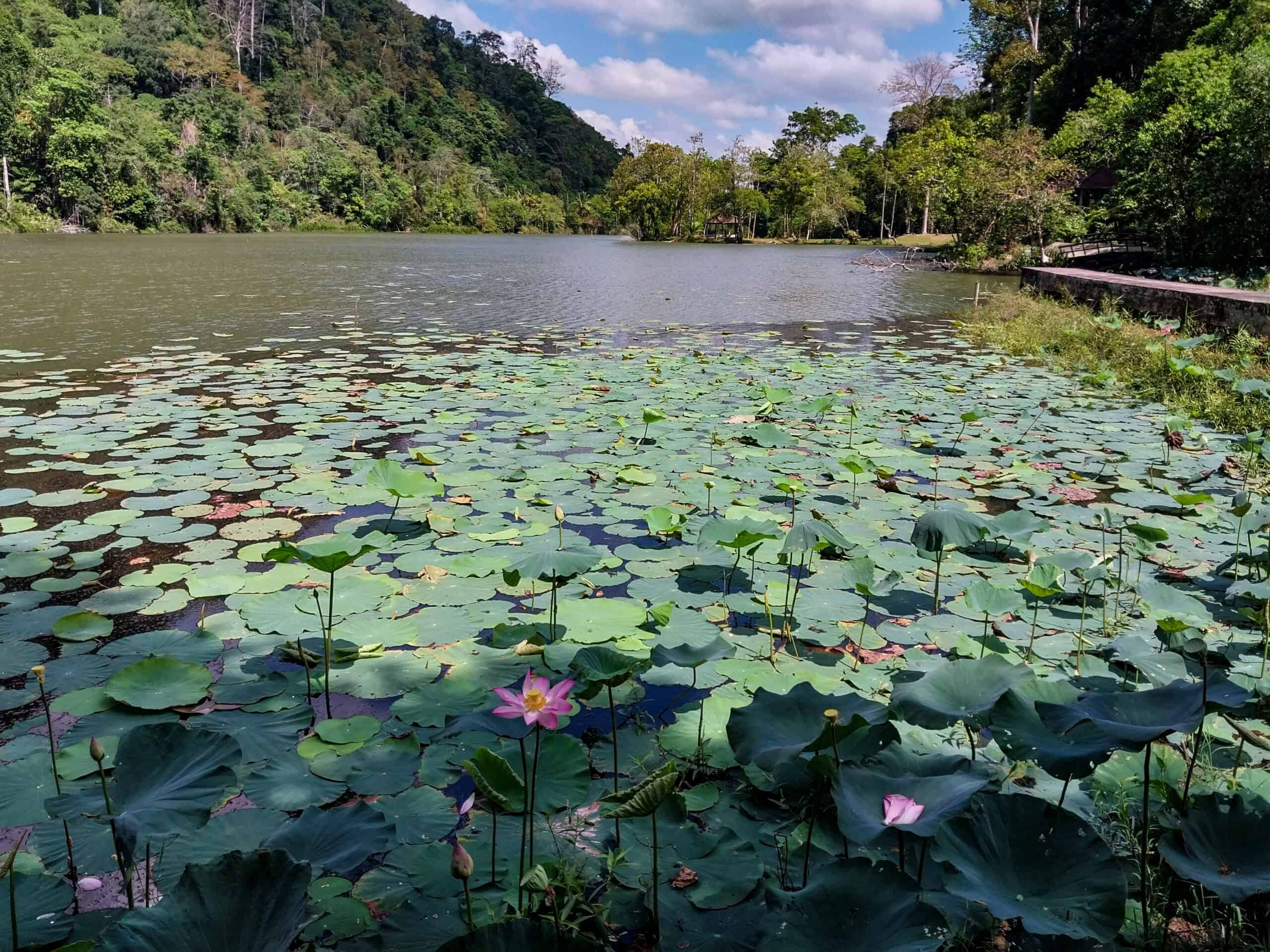 Things to Do in Satun for Return Visitors