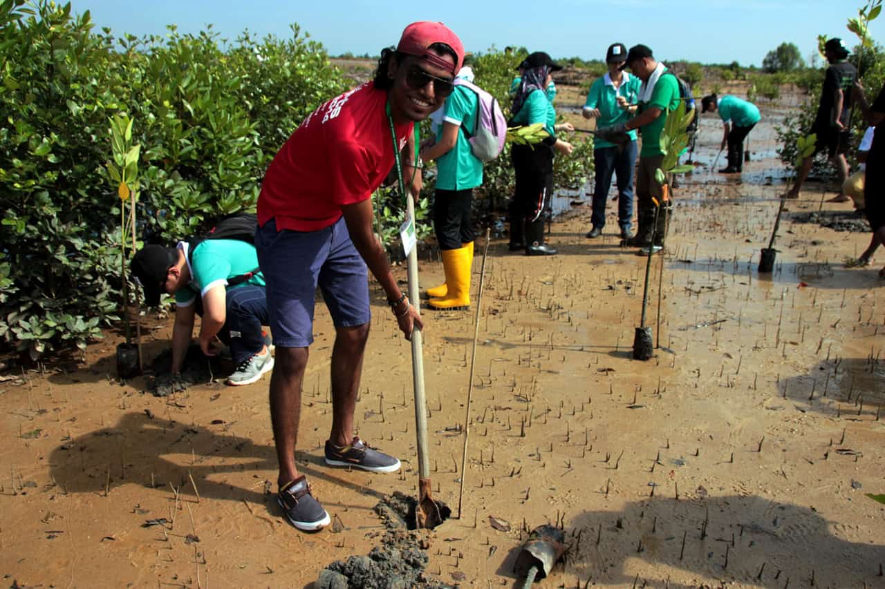 Rainforest World Music Festival 2025: One Earth, One Love
