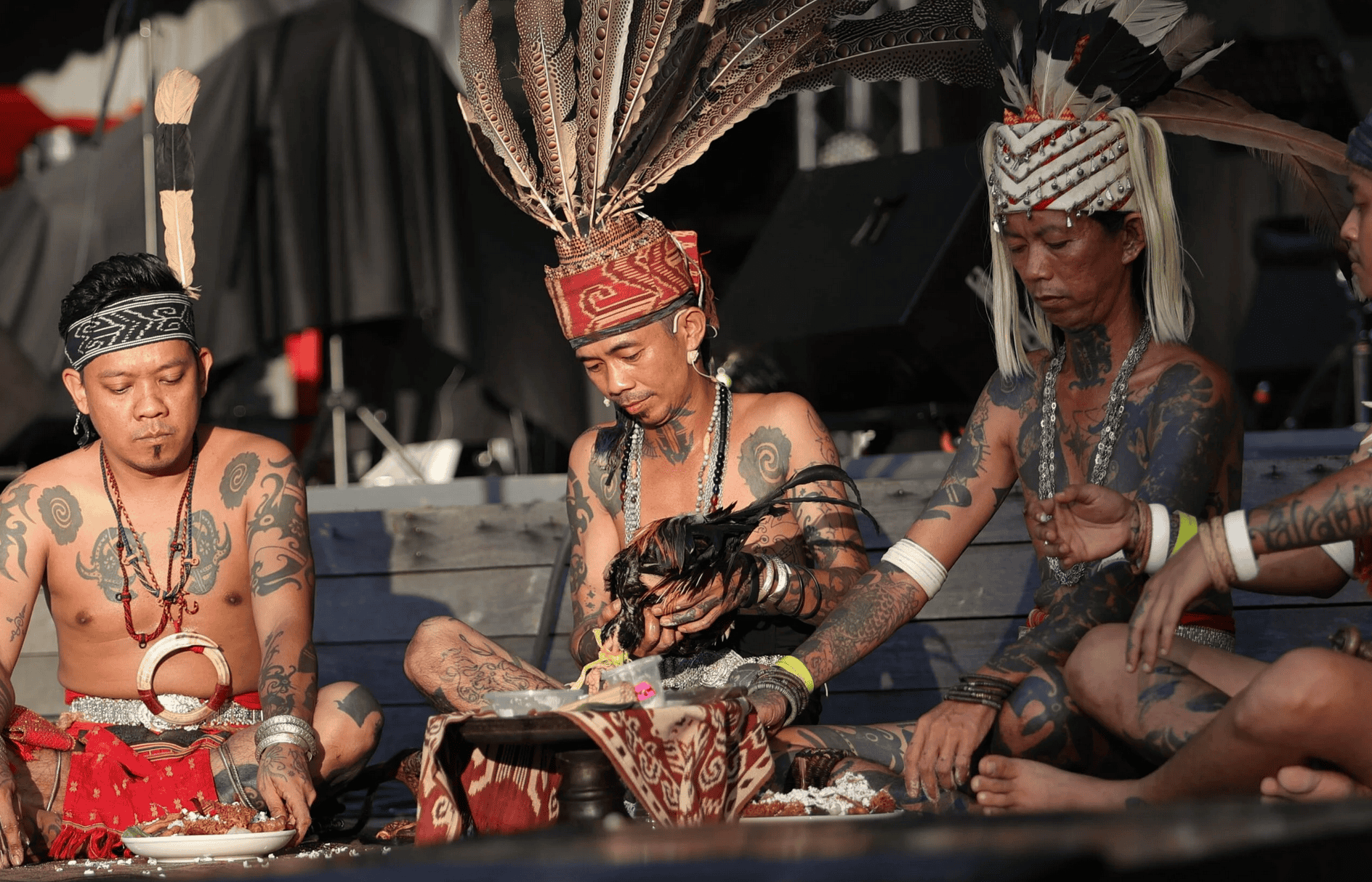 Rainforest World Music Festival 2025: One Earth, One Love