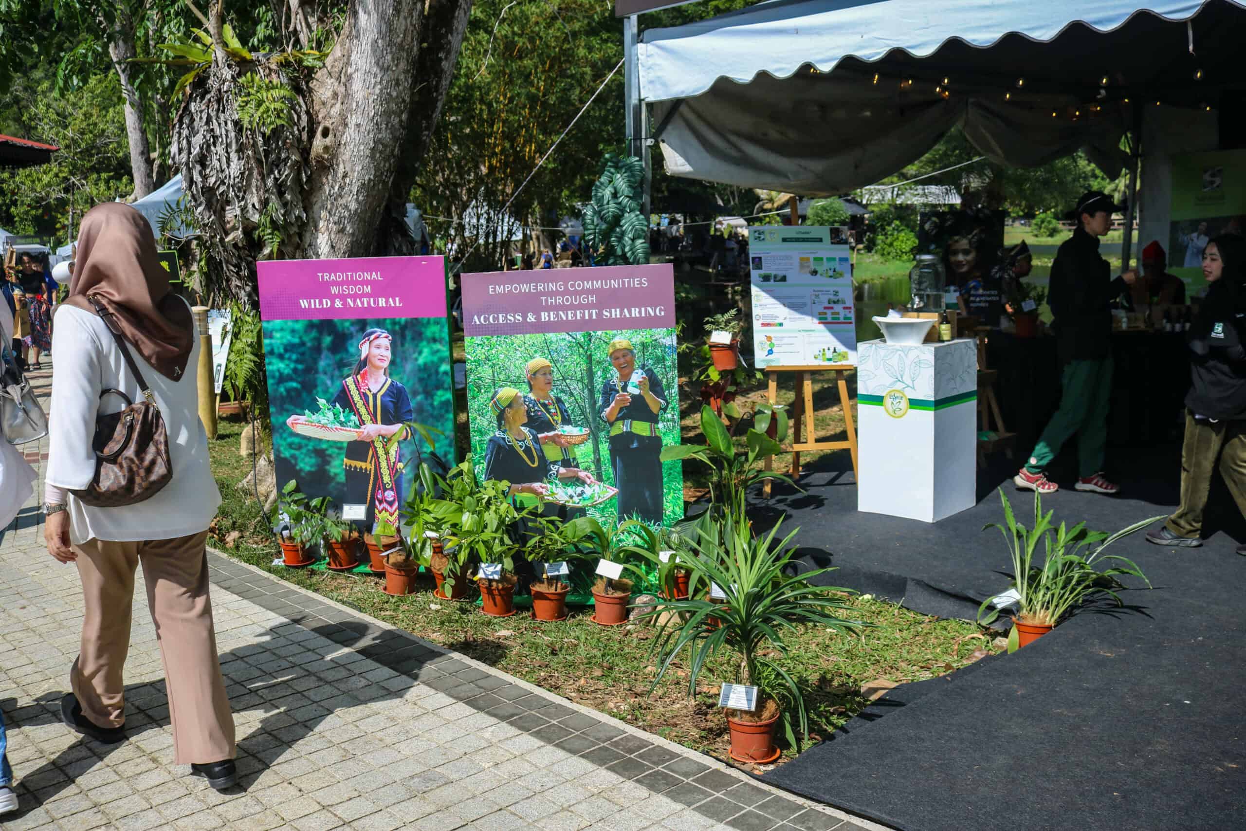 Rainforest World Music Festival (RWMF 2025)