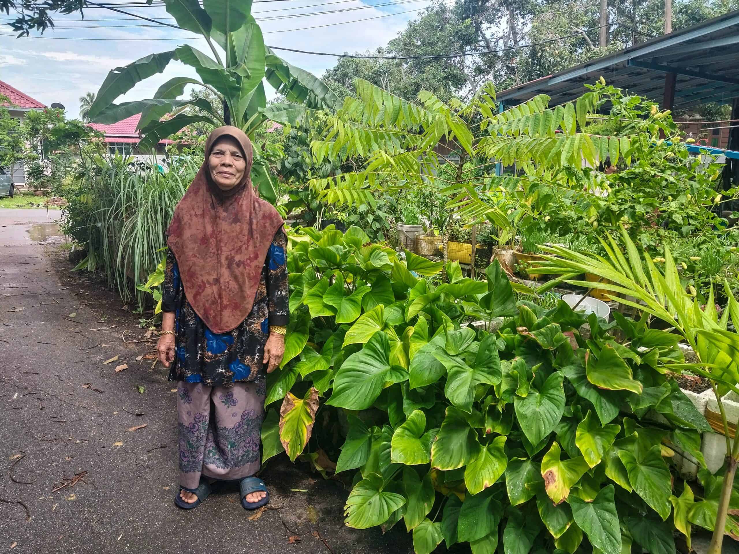 Kampung Walks in Langkawi: 20 Local Plants Worth Slowing Down For