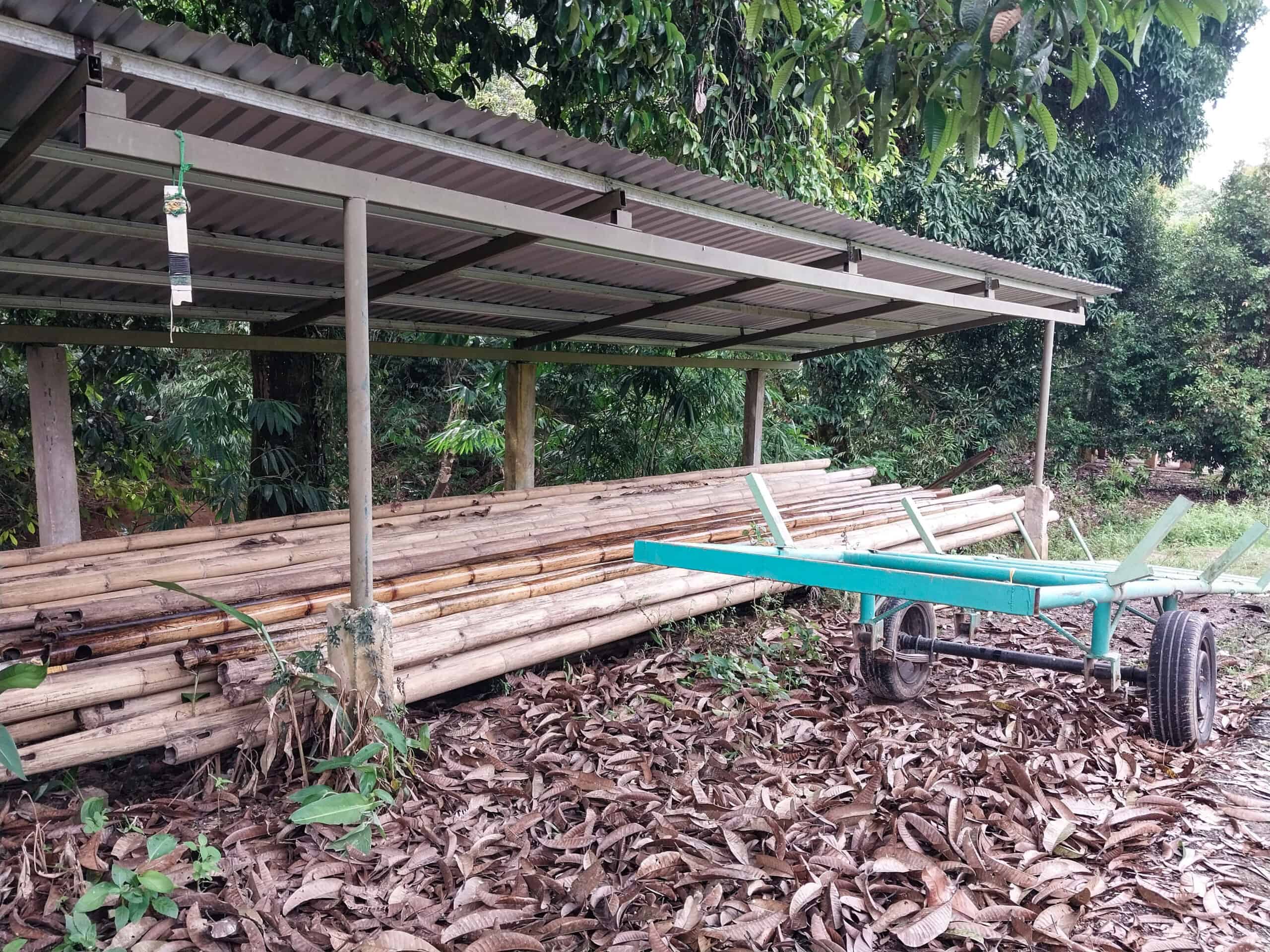 Bamboo Rafting in Sarawak