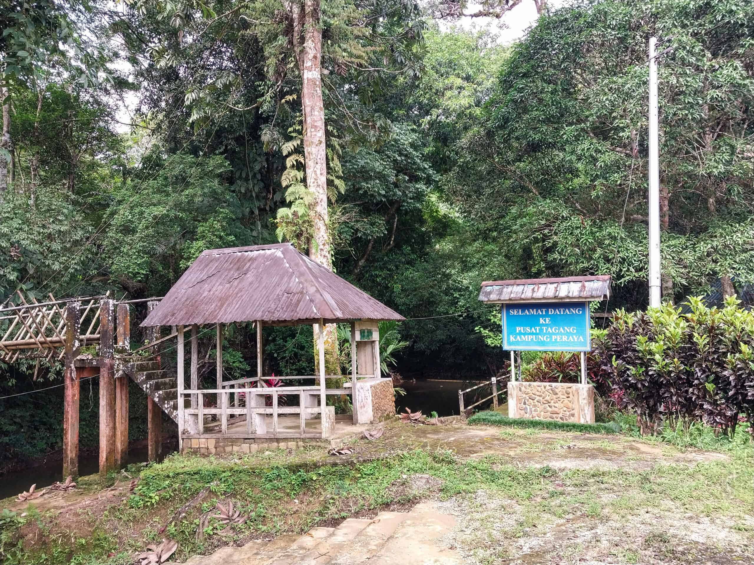 Bamboo Rafting in Sarawak