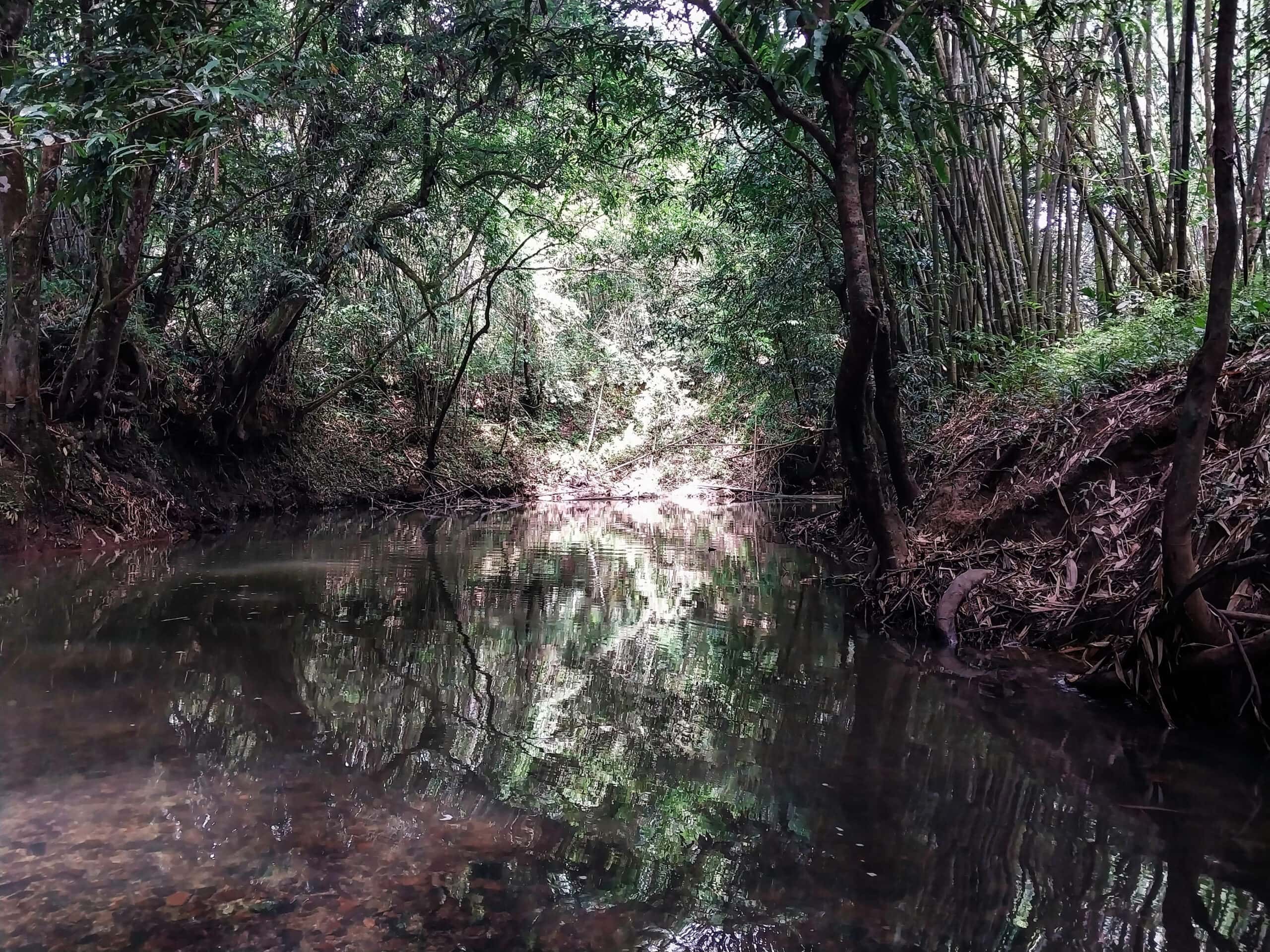 Bamboo Rafting in Sarawak