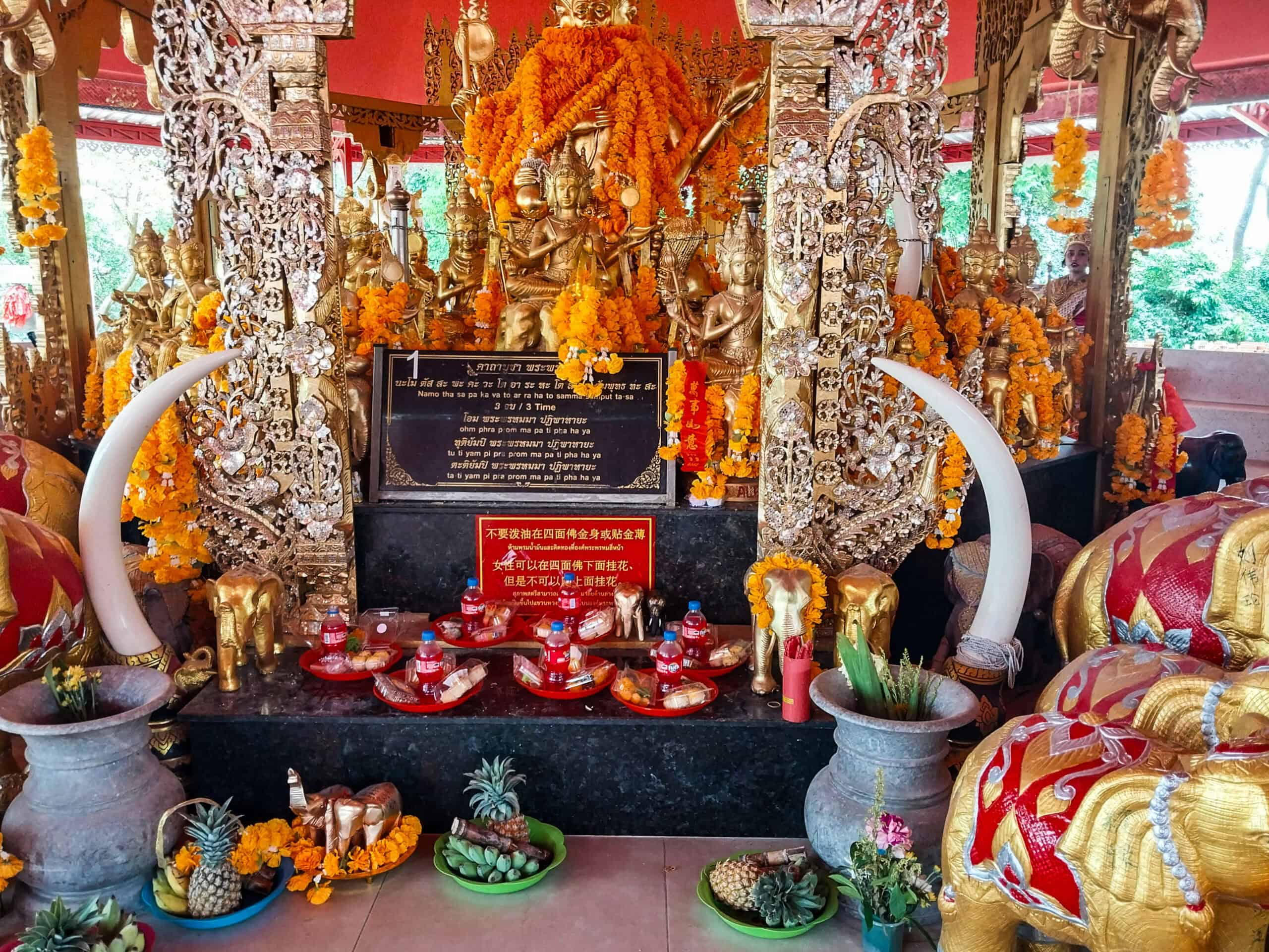 Hat Yai Municipal Park: A First-Time Visitor’s Guide