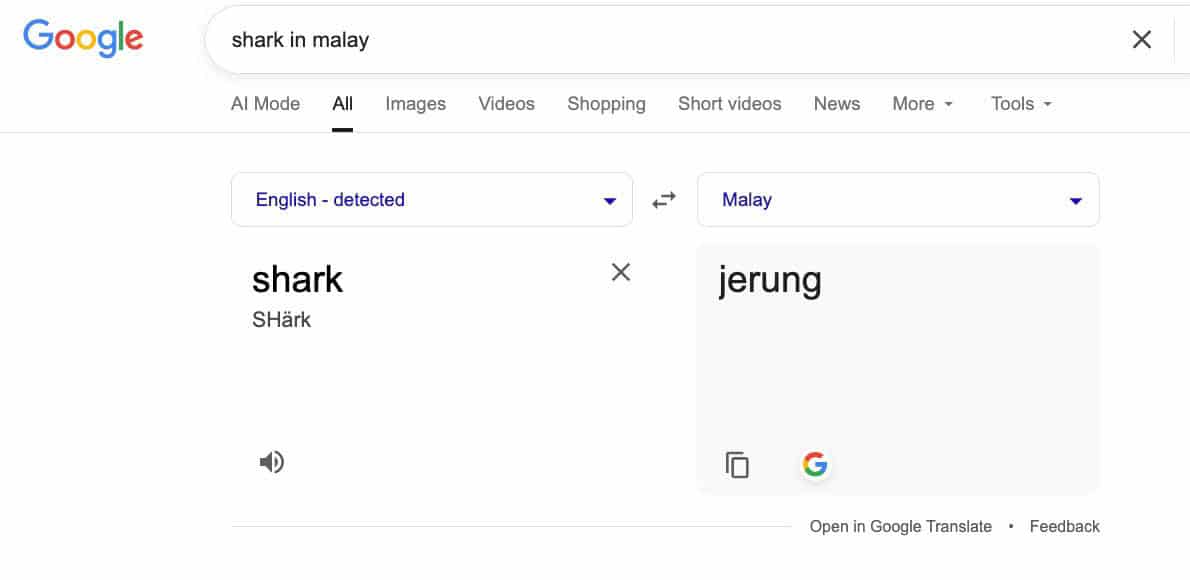 The Real Story Behind Teluk Yu