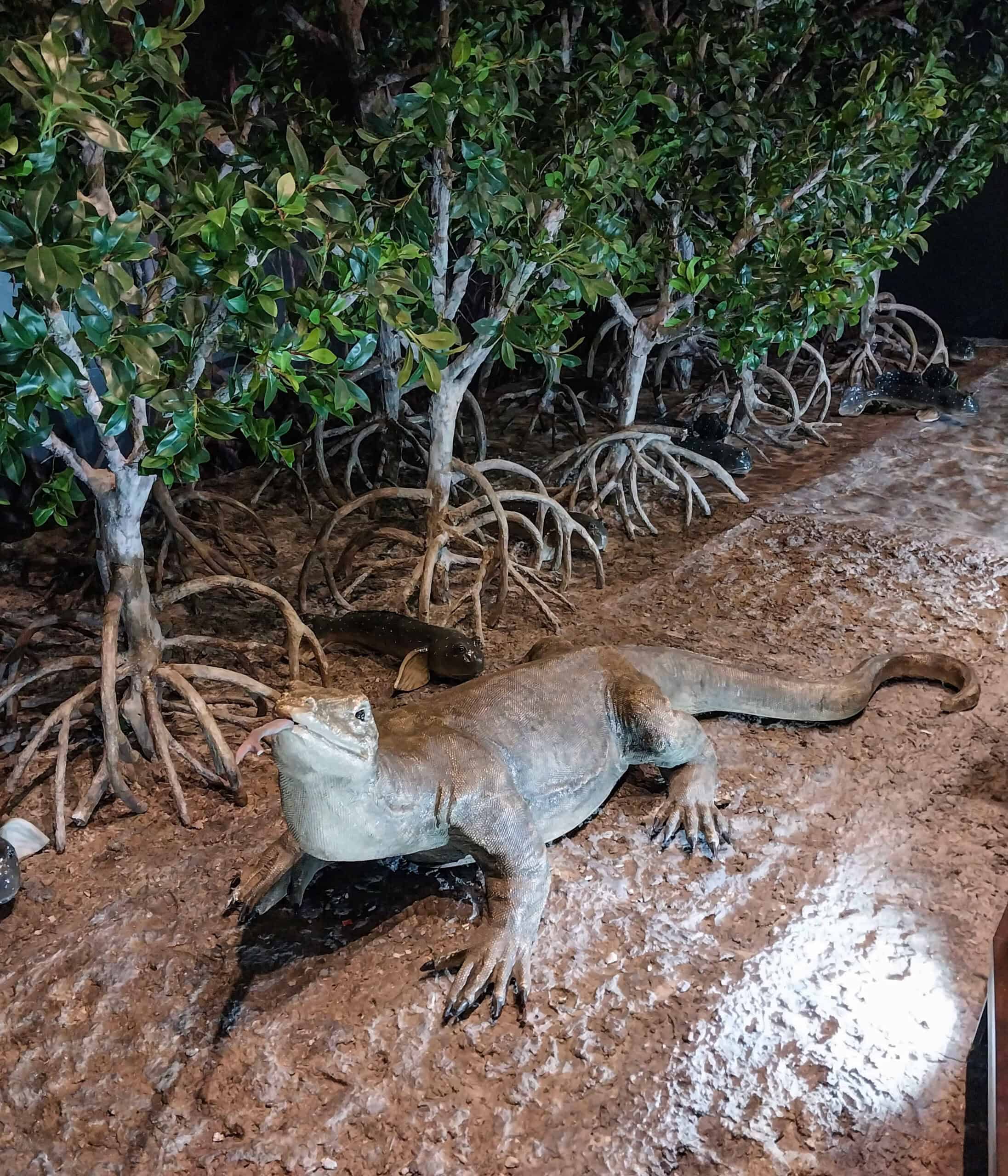 Langkawi Geopark Discovery Centre
